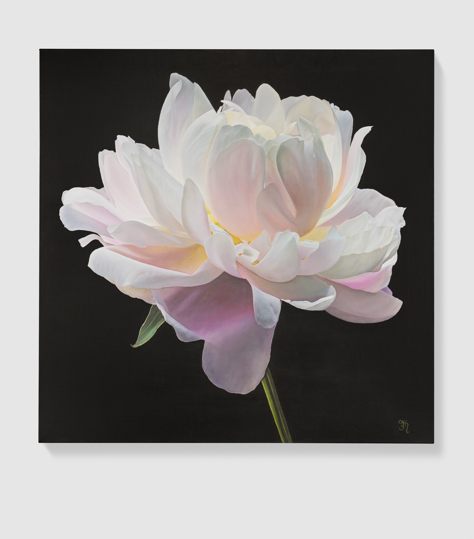 trish-mitchell-pink-peony-flower-radiance-unveiled-original-painting