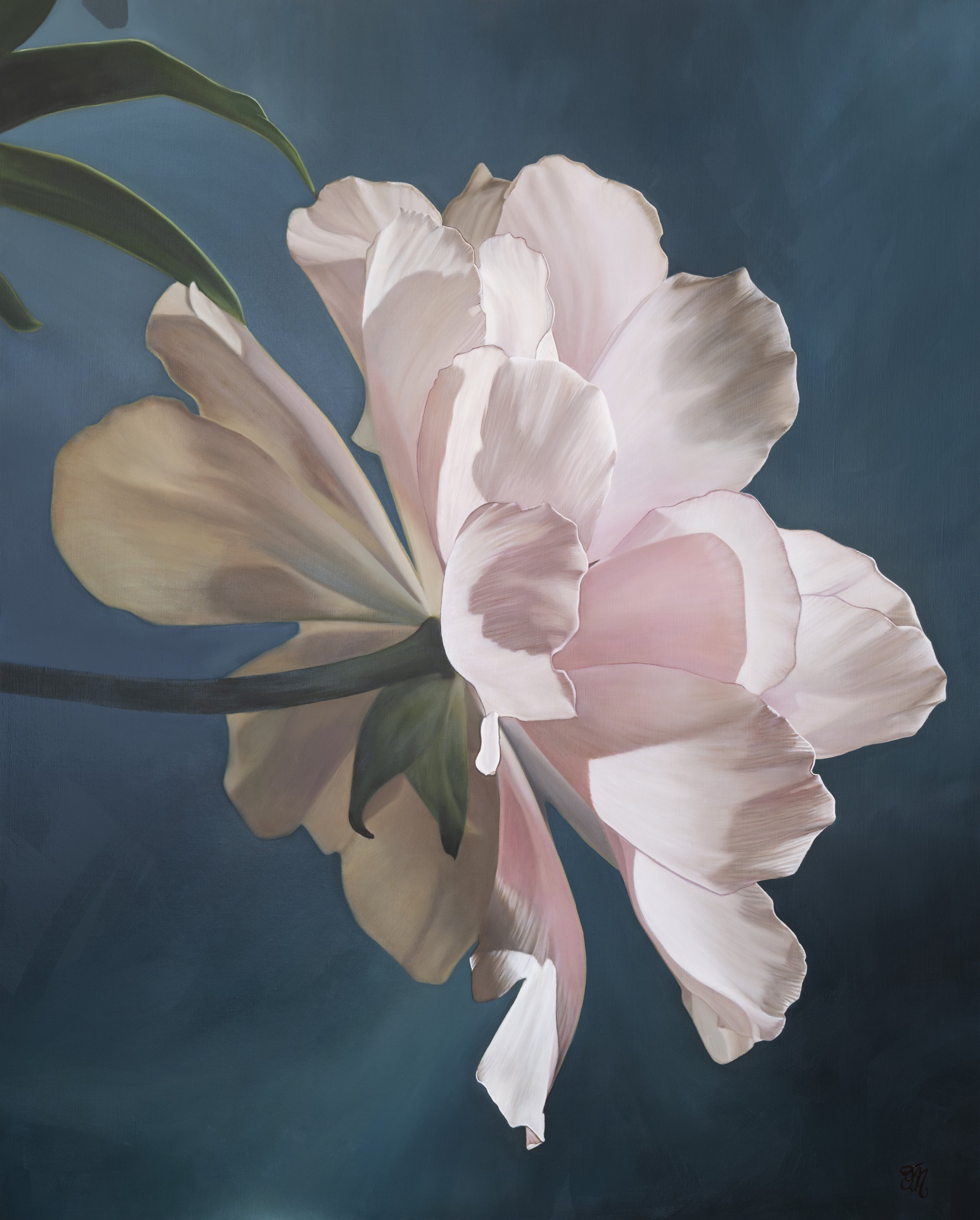 pink-peony-teal-background-oil-painting-modern