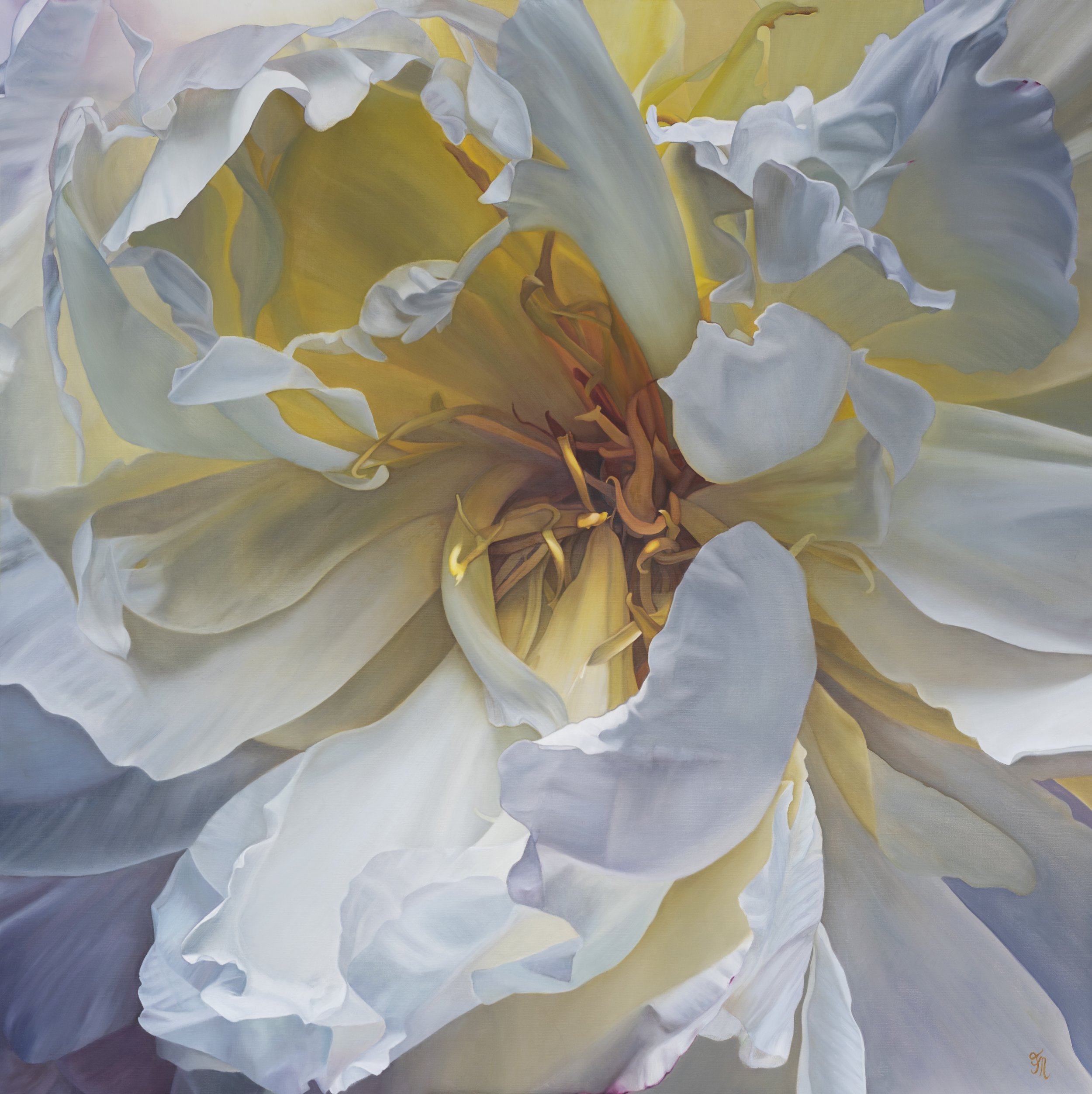trish-mitchell-white-peony-flower-golden-reverie-oil-painting