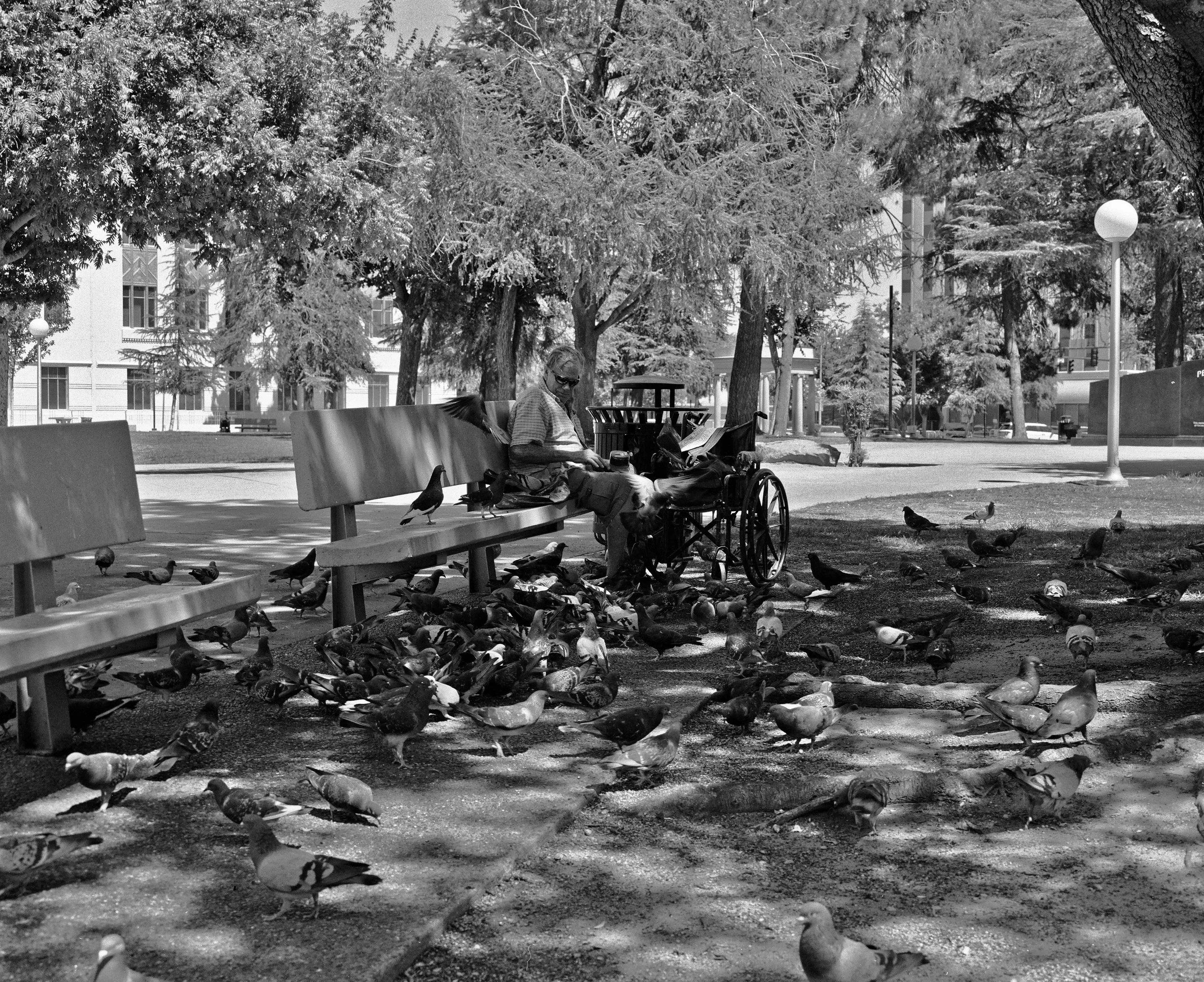 rb67.ilford120film-PidgeonMan-559.jpg