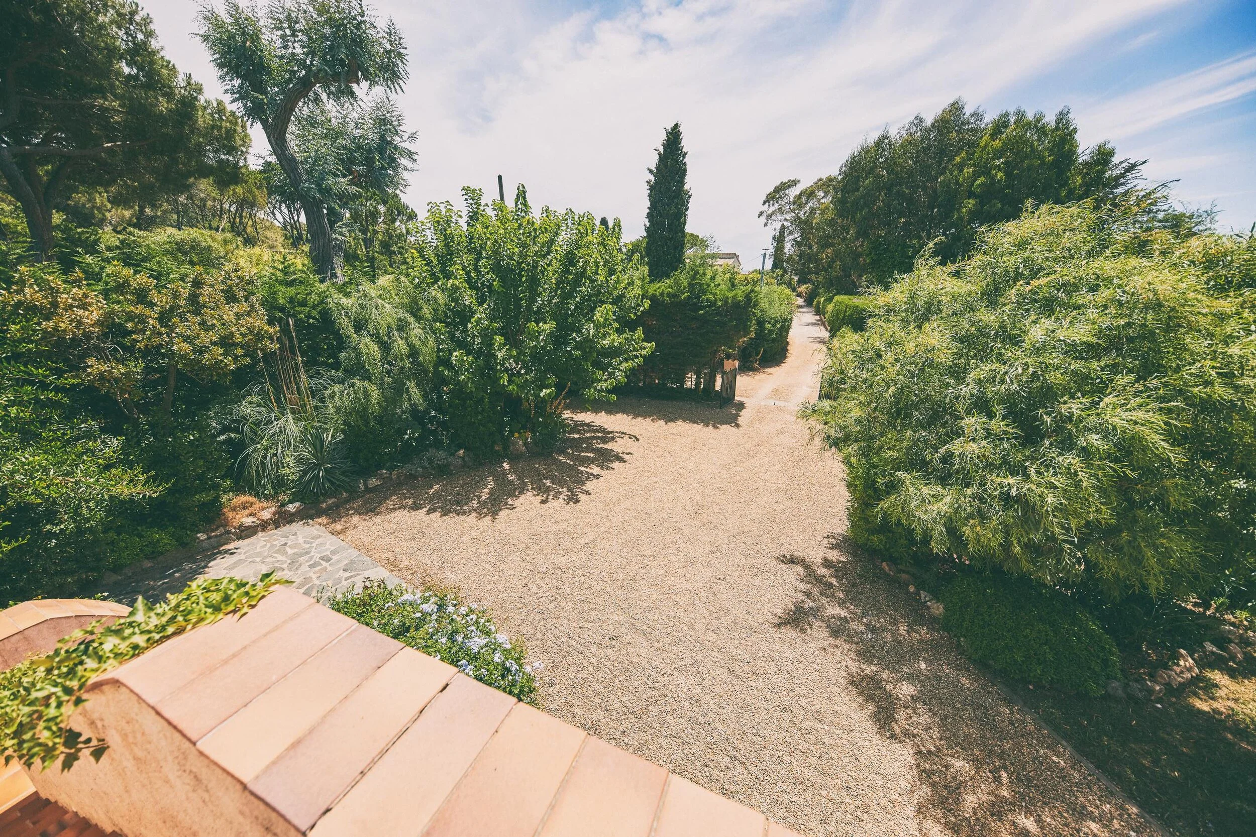 MICA3553-juil. 13 2021.jpeg