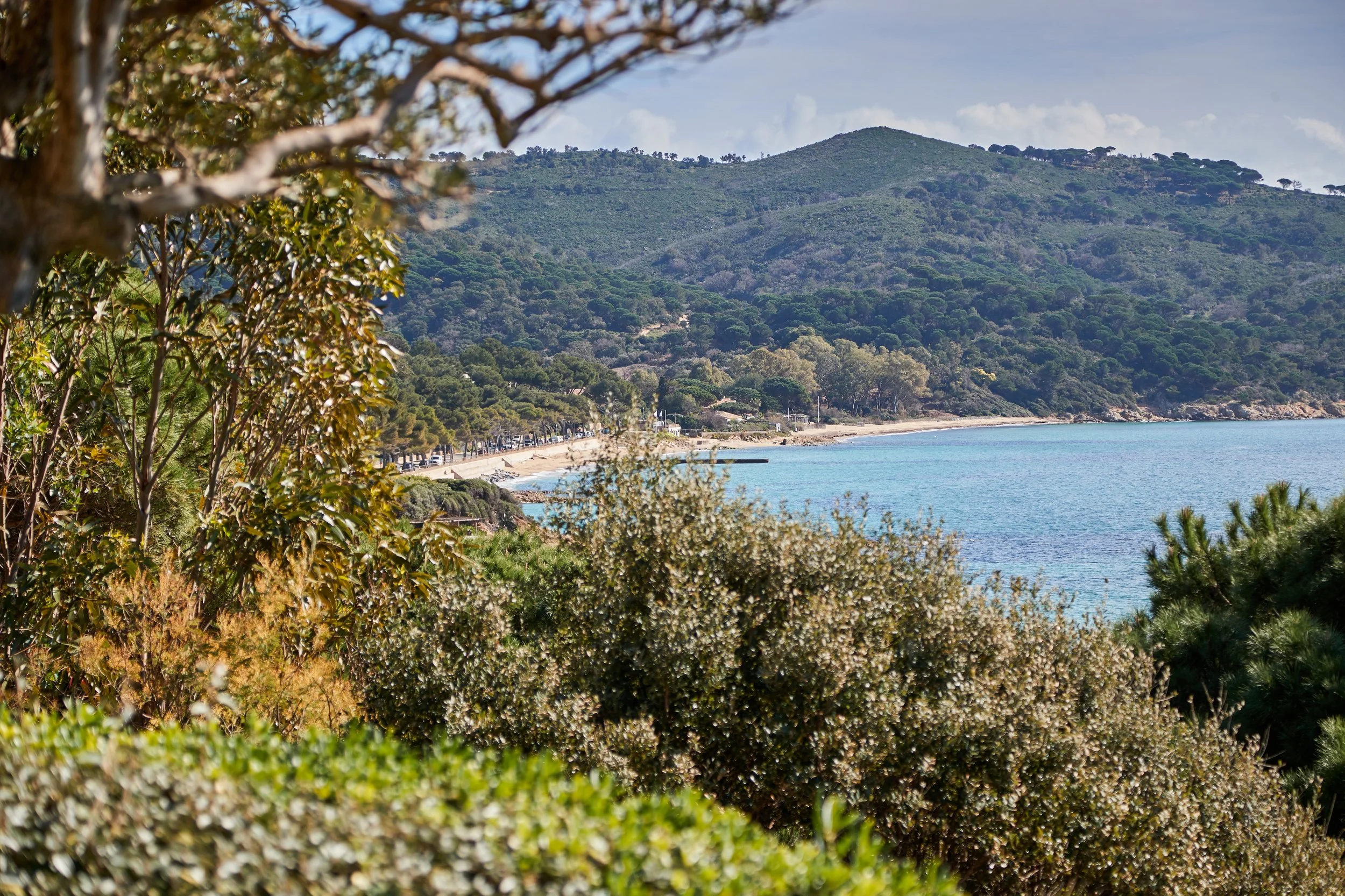 MICA1798-févr. 28 2025.jpeg