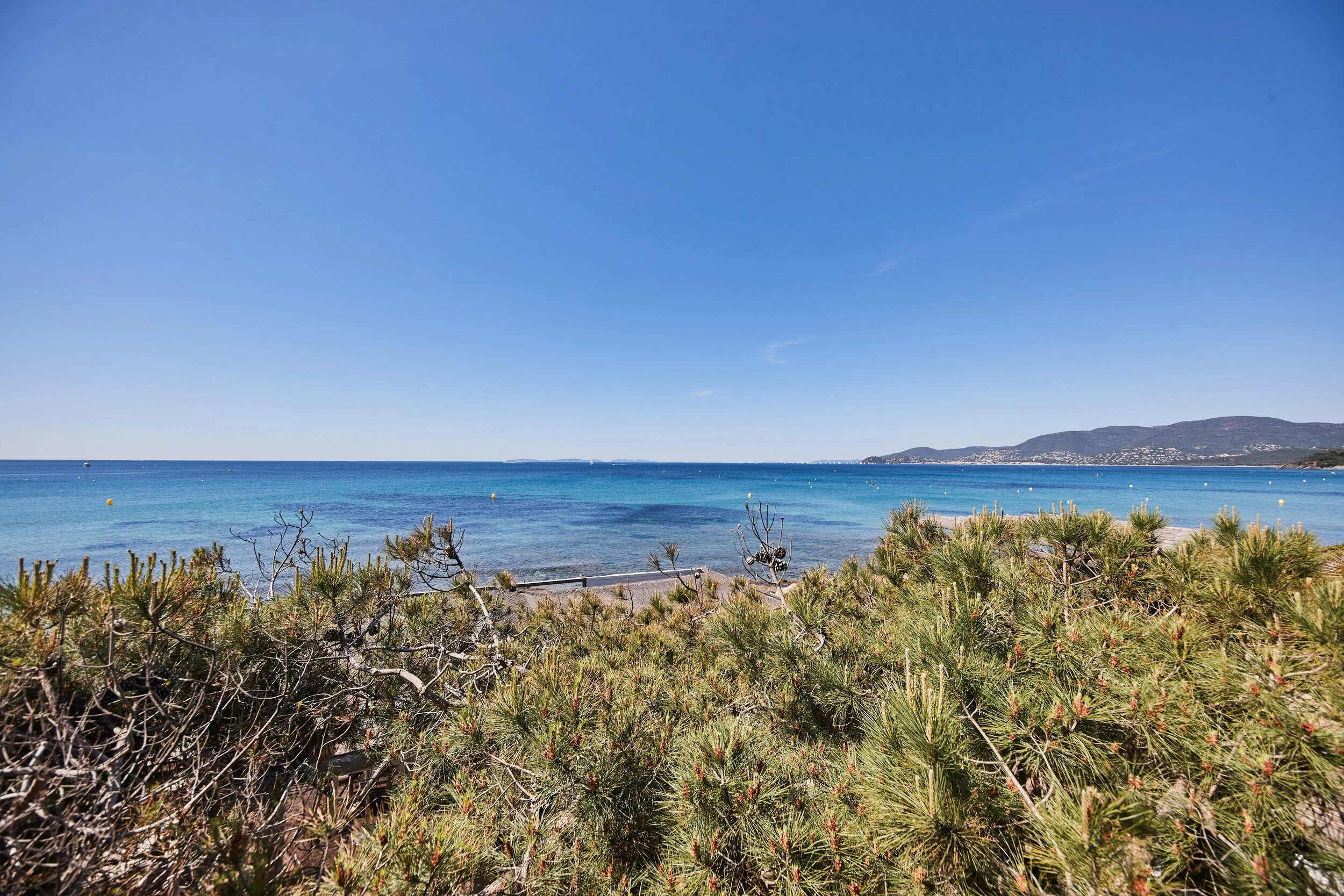 MICA0240-mai 11 2024.jpeg