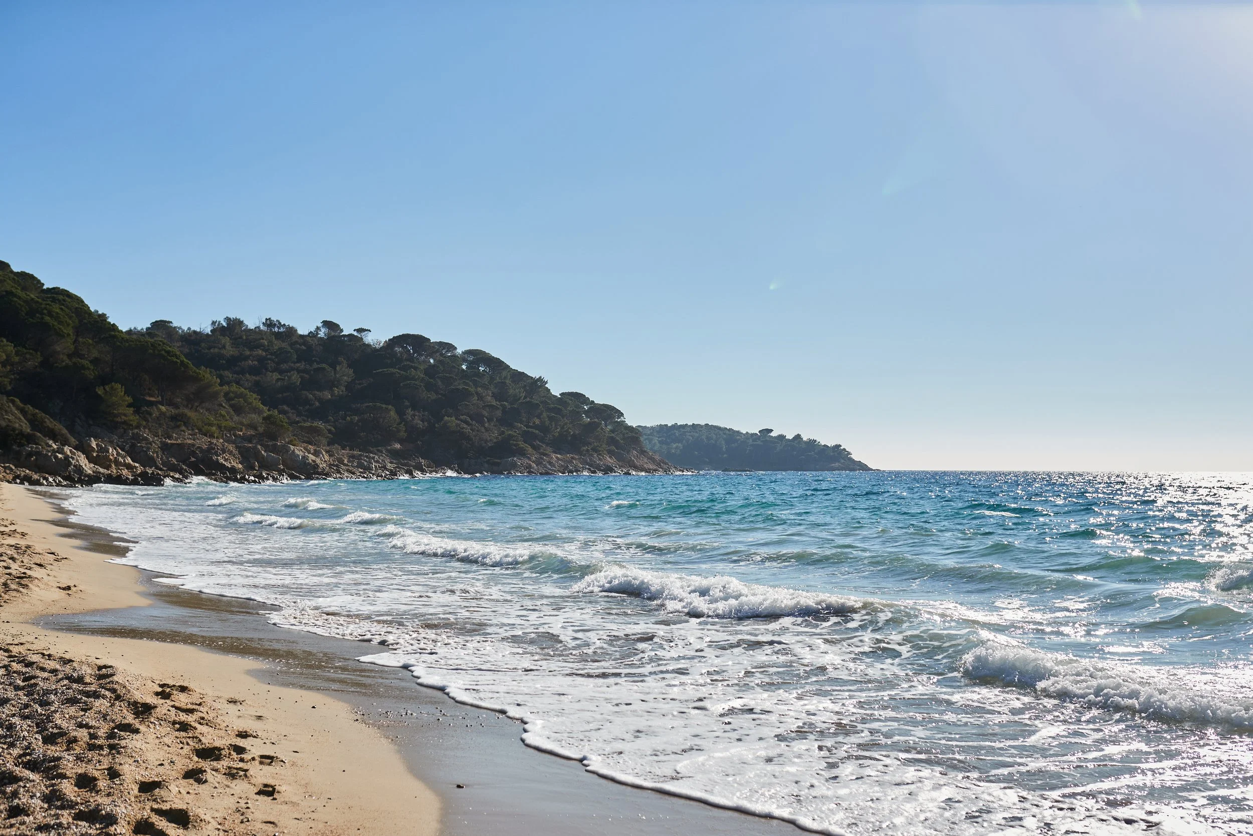 AV8I3912-janv. 16 2022.jpeg