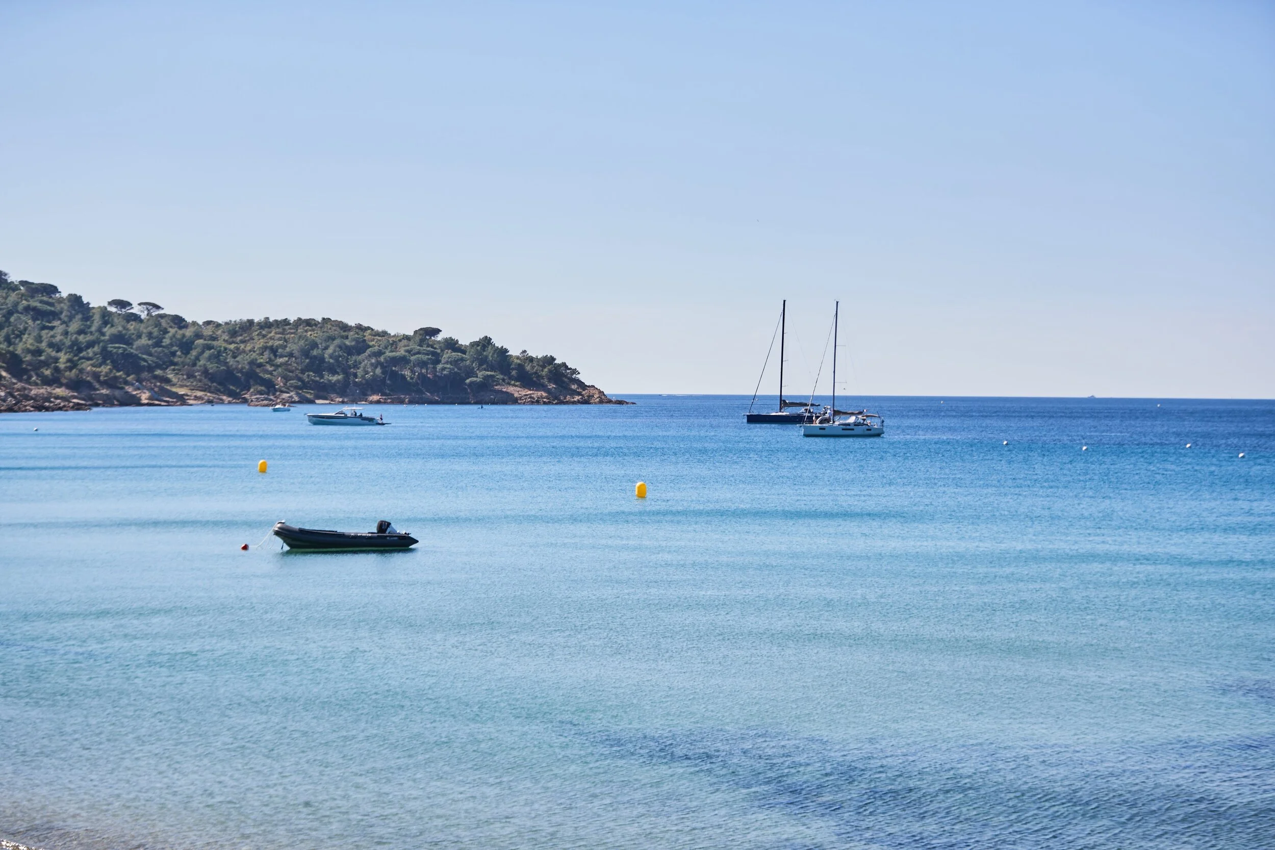 MICA0105-mai 11 2024.jpeg