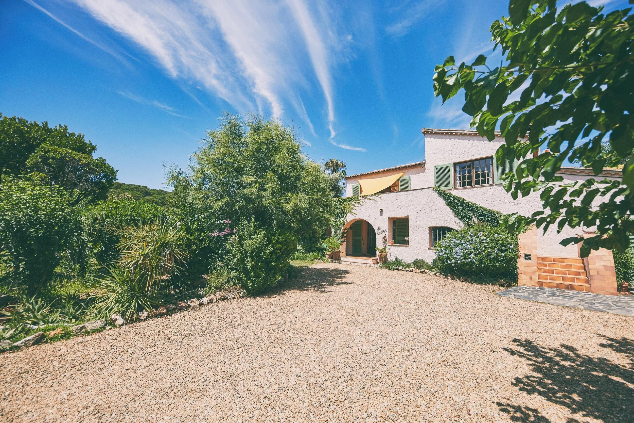 MICA3558-juil. 13 2021.jpeg