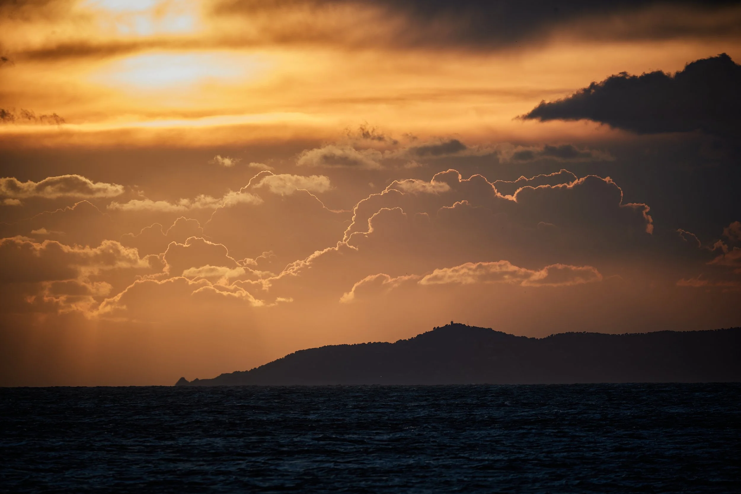 MICA0780-janv. 24 2023.jpeg