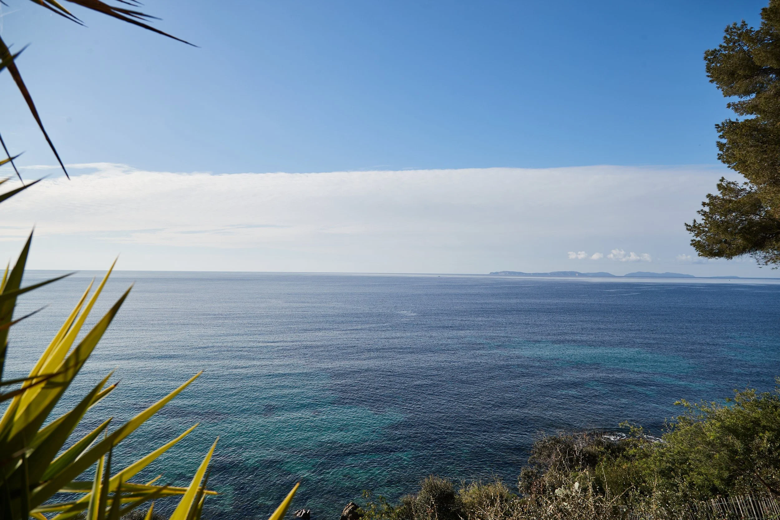 MICA1737-févr. 28 2025.jpeg