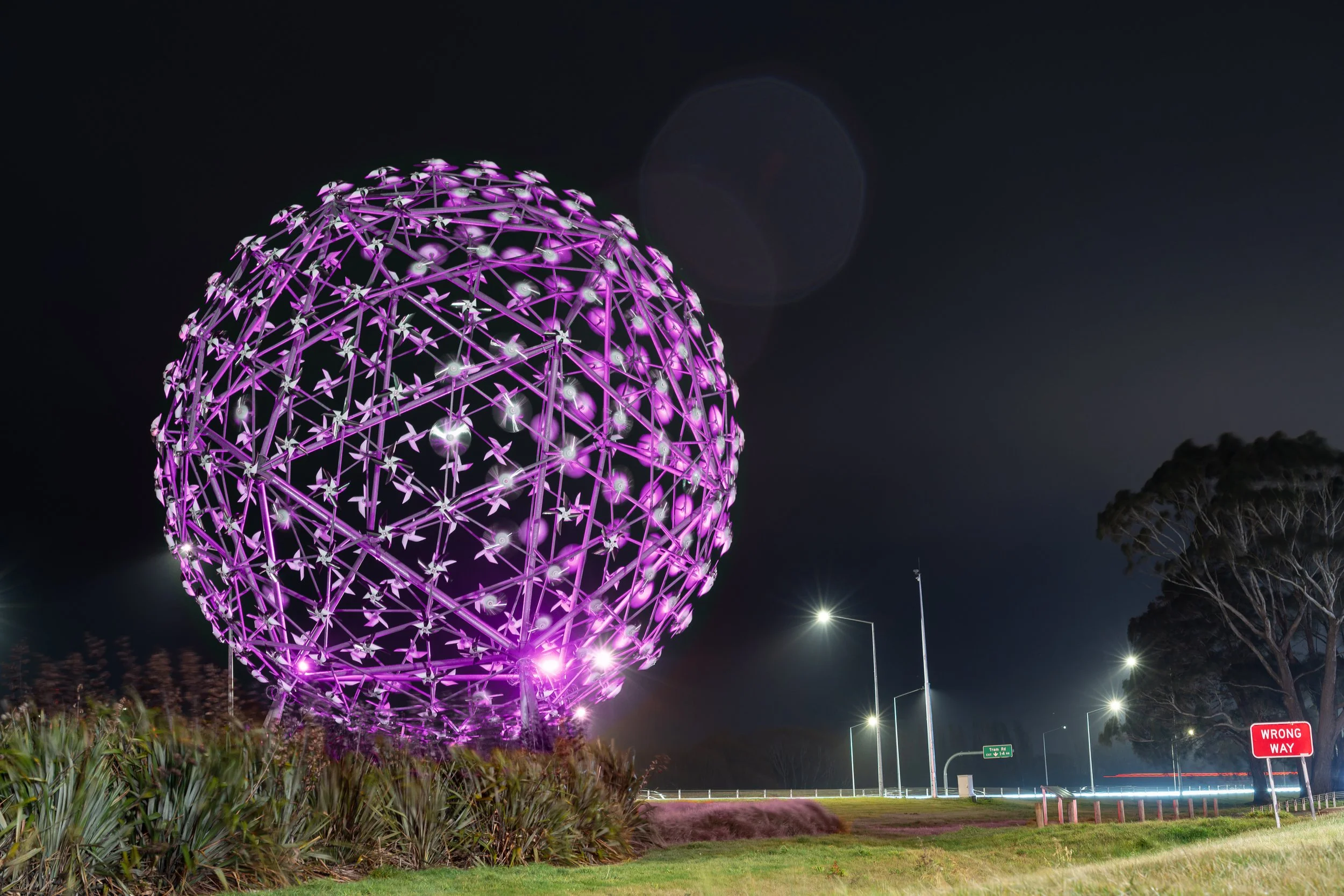 Lighting Otautahi Purple-01042.jpg