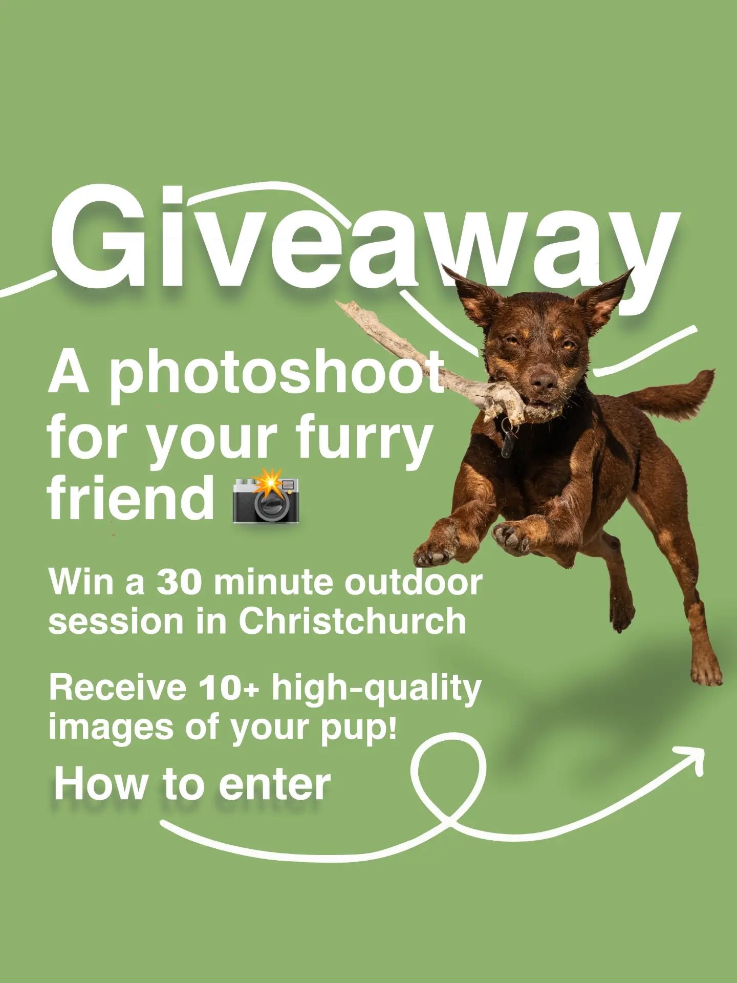 As we&rsquo;re heading into winter and it&rsquo;s getting a little cold out there... ❄️

It&rsquo;s time to raise some spirits with a little giveaway! 
An opportunity to win a 30-minute outdoor photoshoot for your furry friend 📸

To enter:
1. Follow