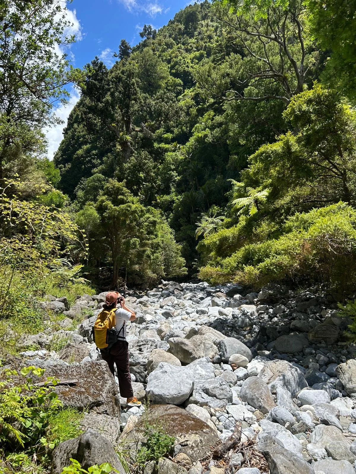 On the way to Rawhiti Cave Track in the Nelson / Tasman Region.