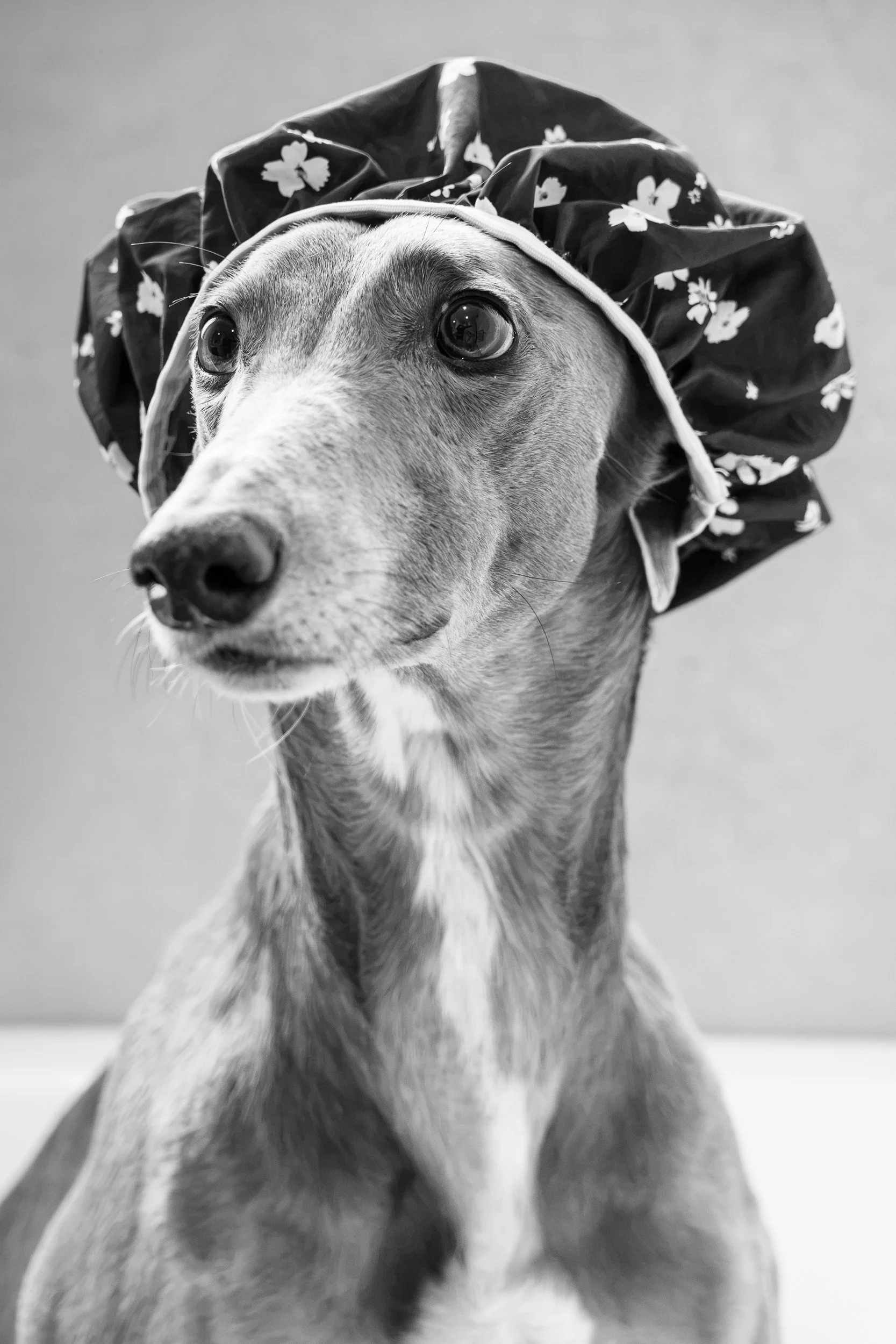 Whio Black and White-1.jpg