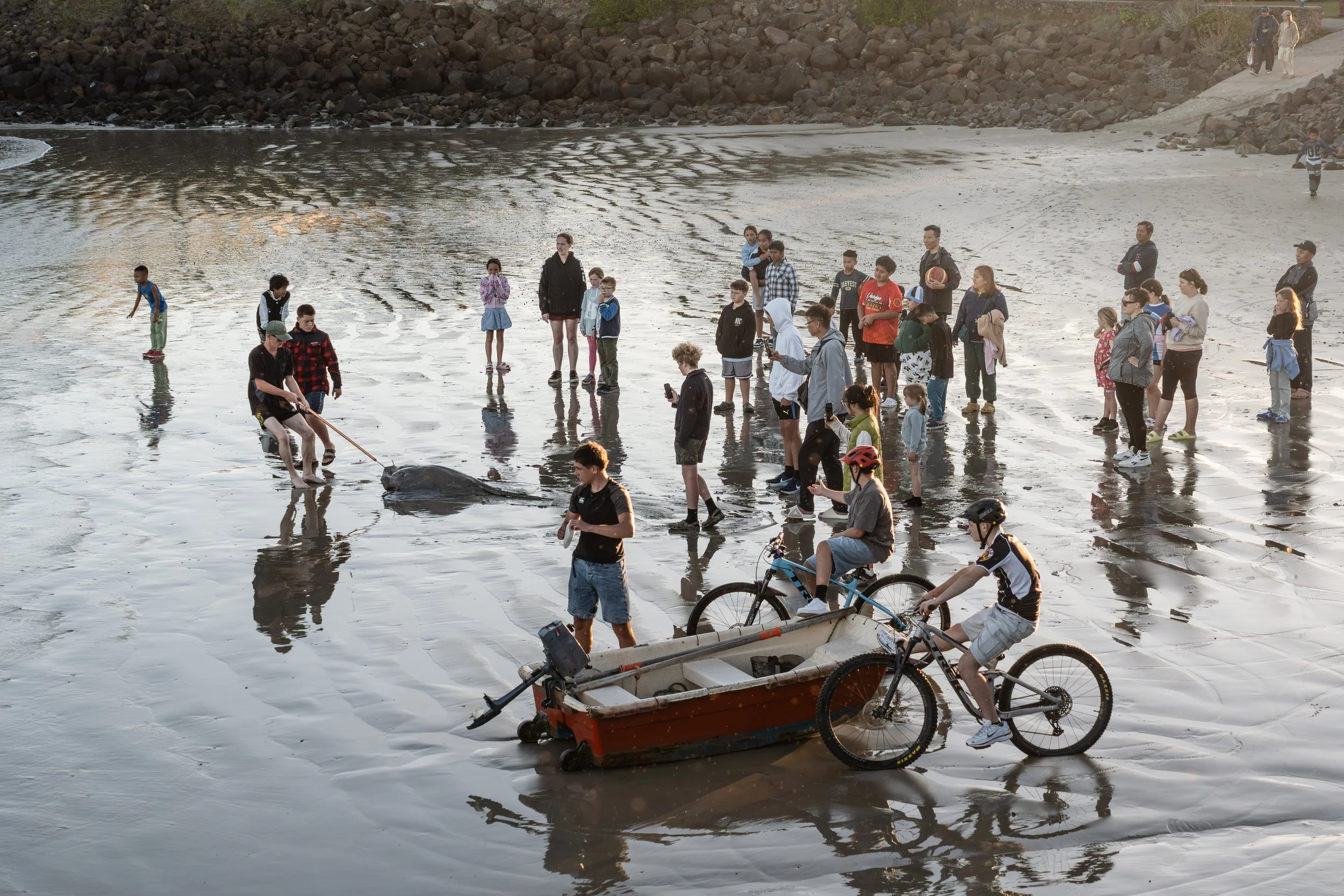 An unsuccessful catch-of-the-day, people gather as a stingray is dragged back into the harbour. 