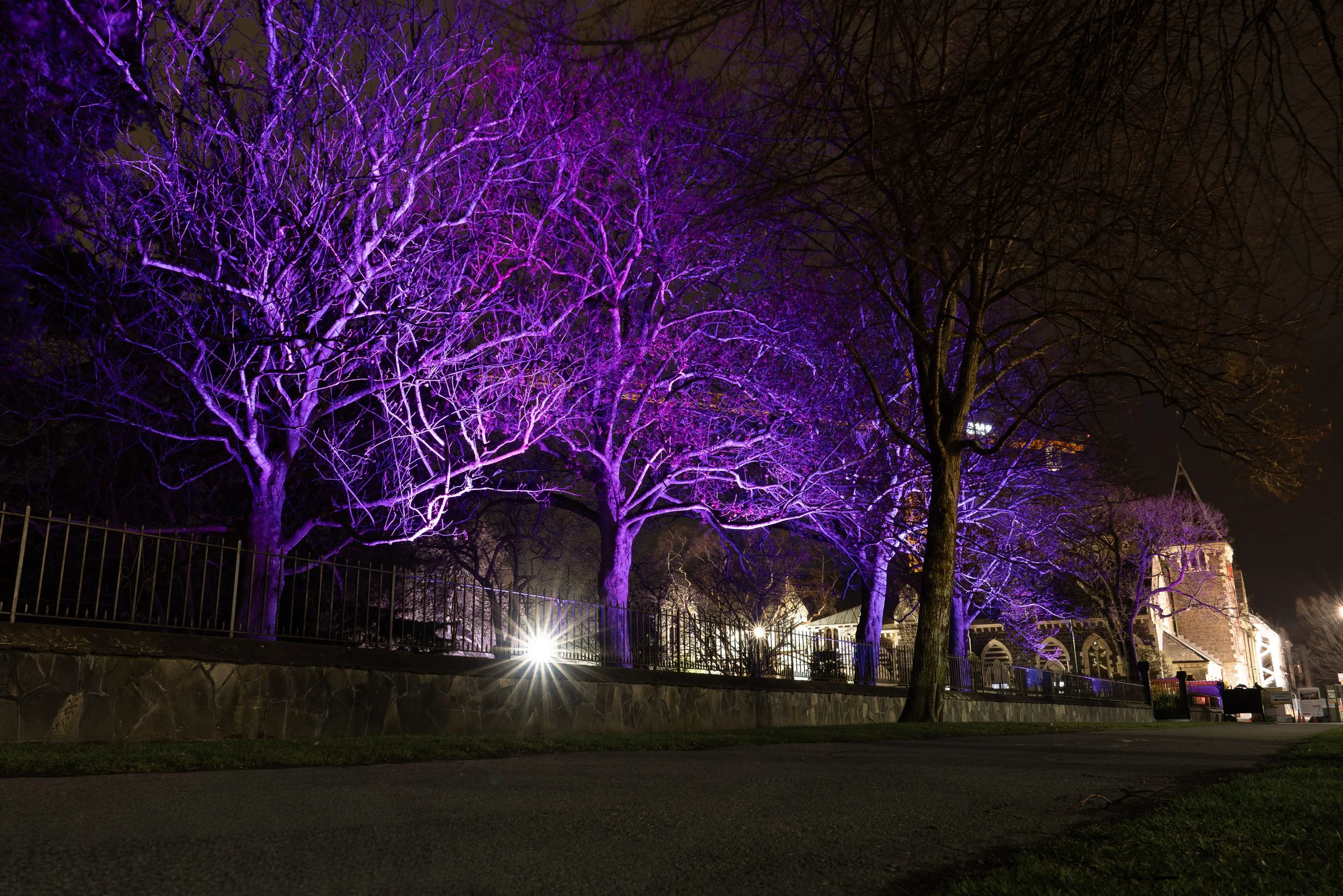 Lighting Otautahi Purple-01033.jpg