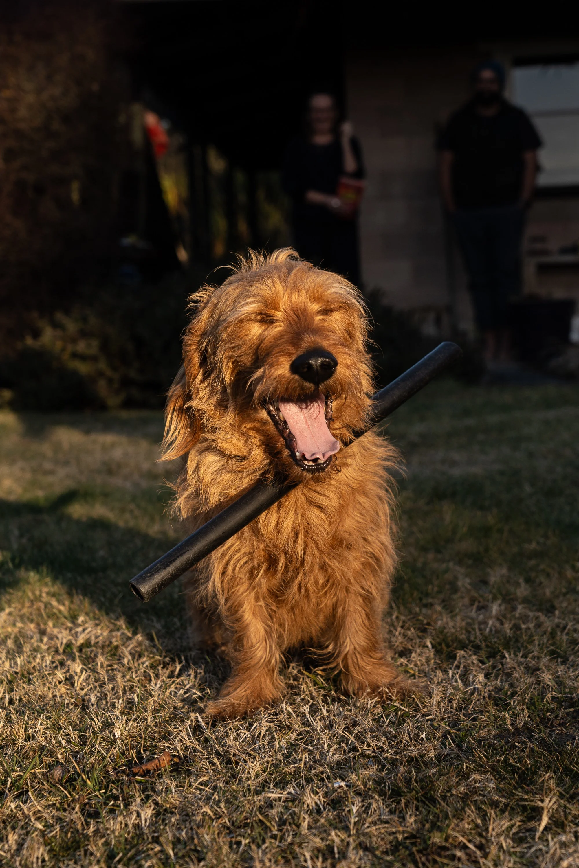 Patsy -6.jpg