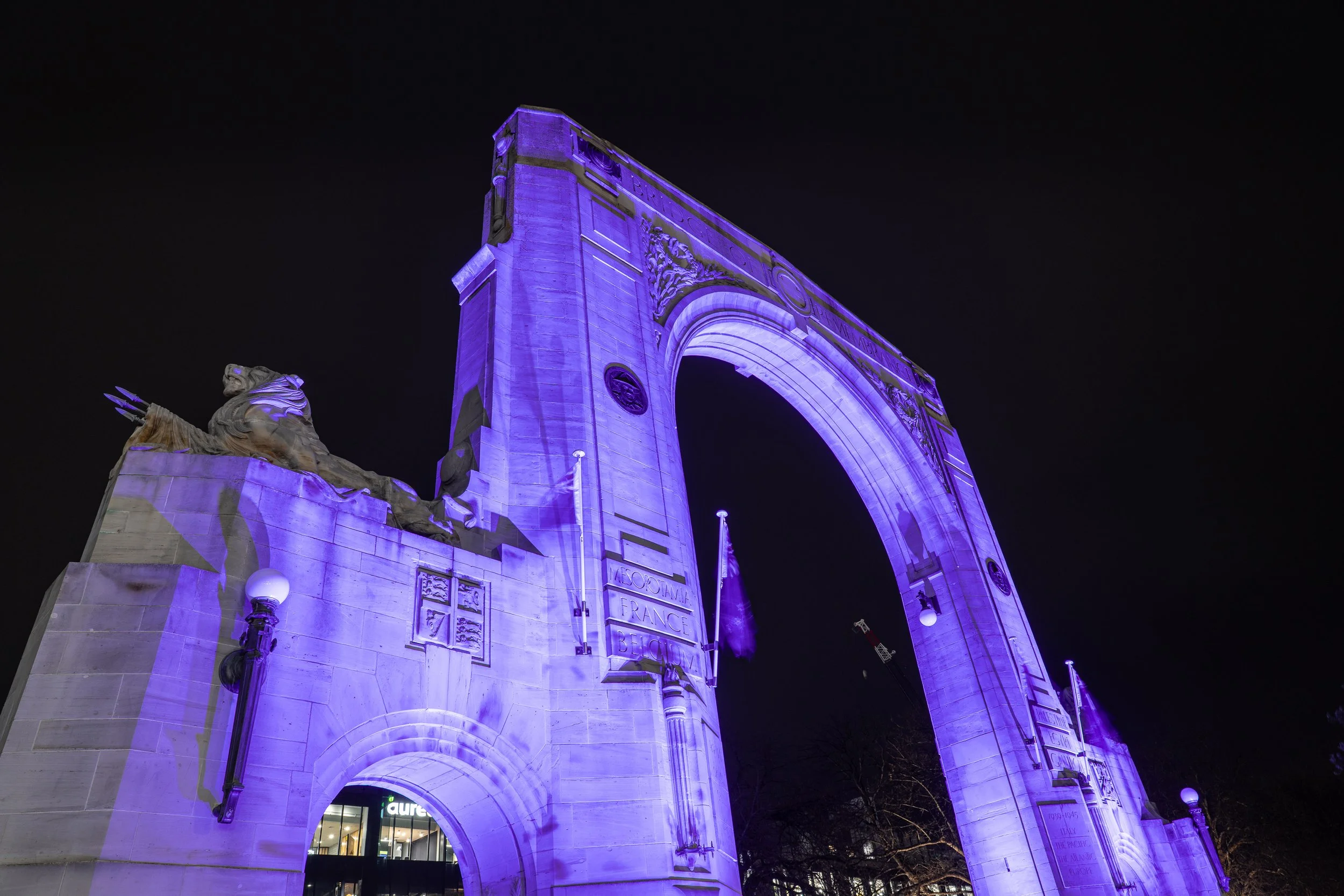 Lighting Otautahi Purple-01022.jpg