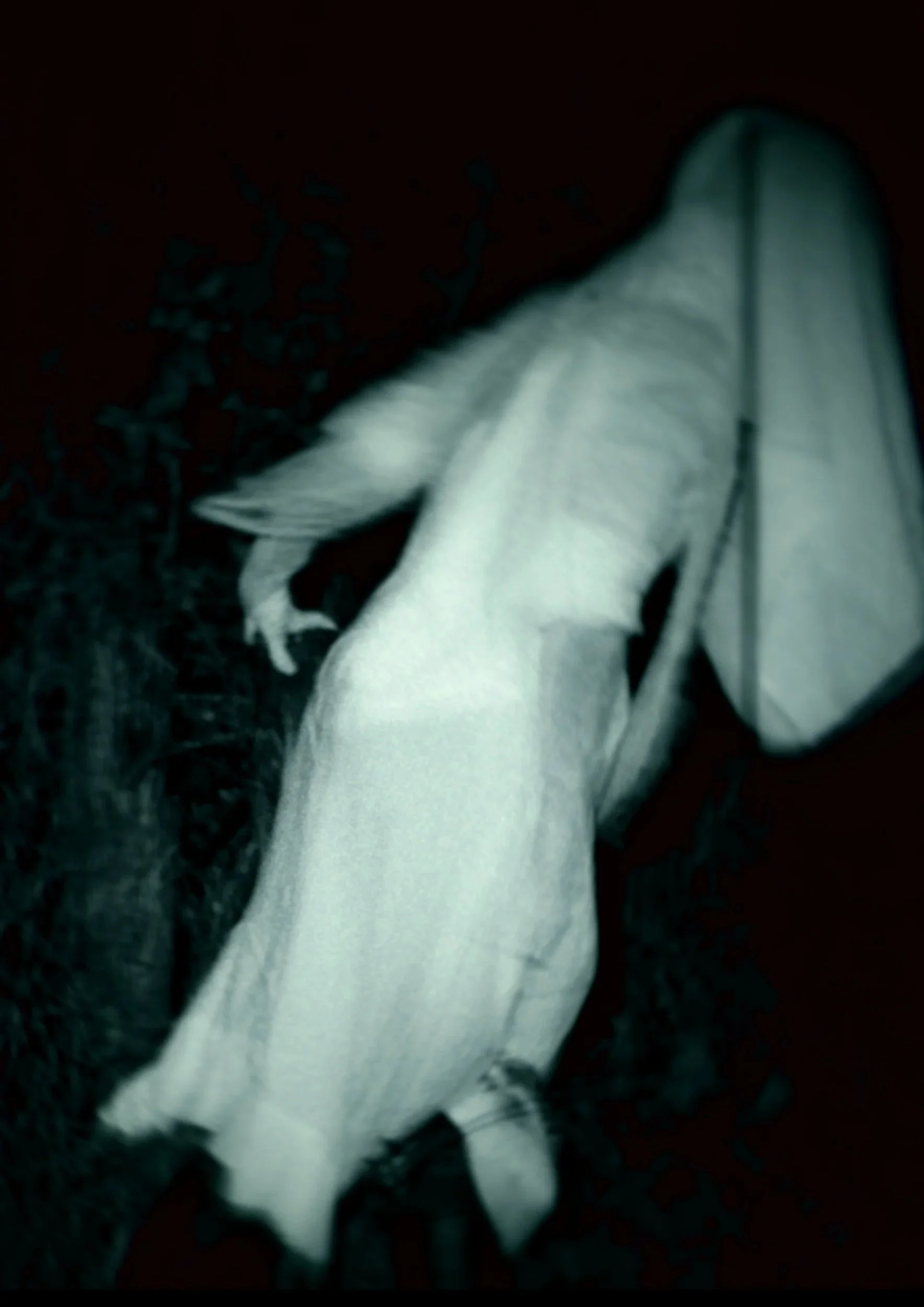 Creatures of the Lake #3