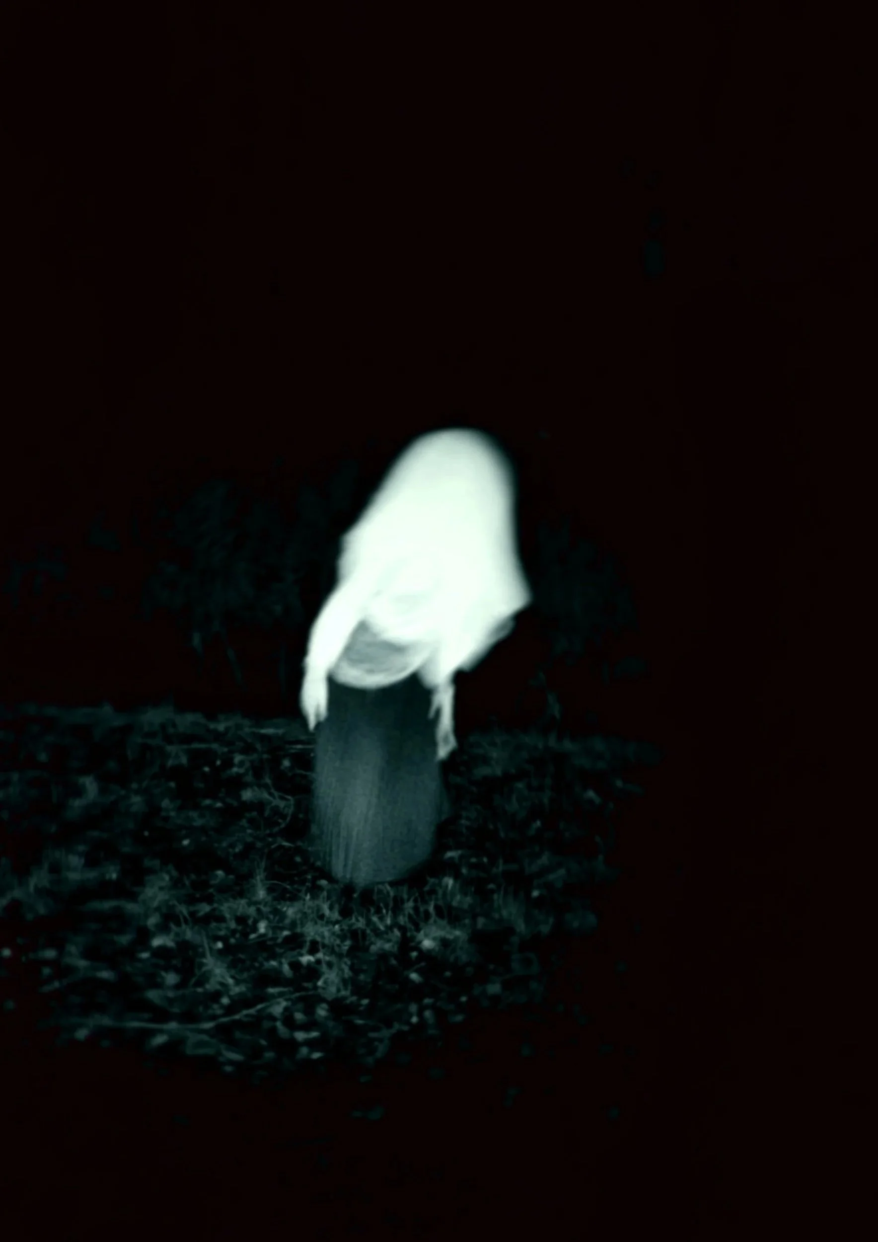 Creatures of the Lake #4