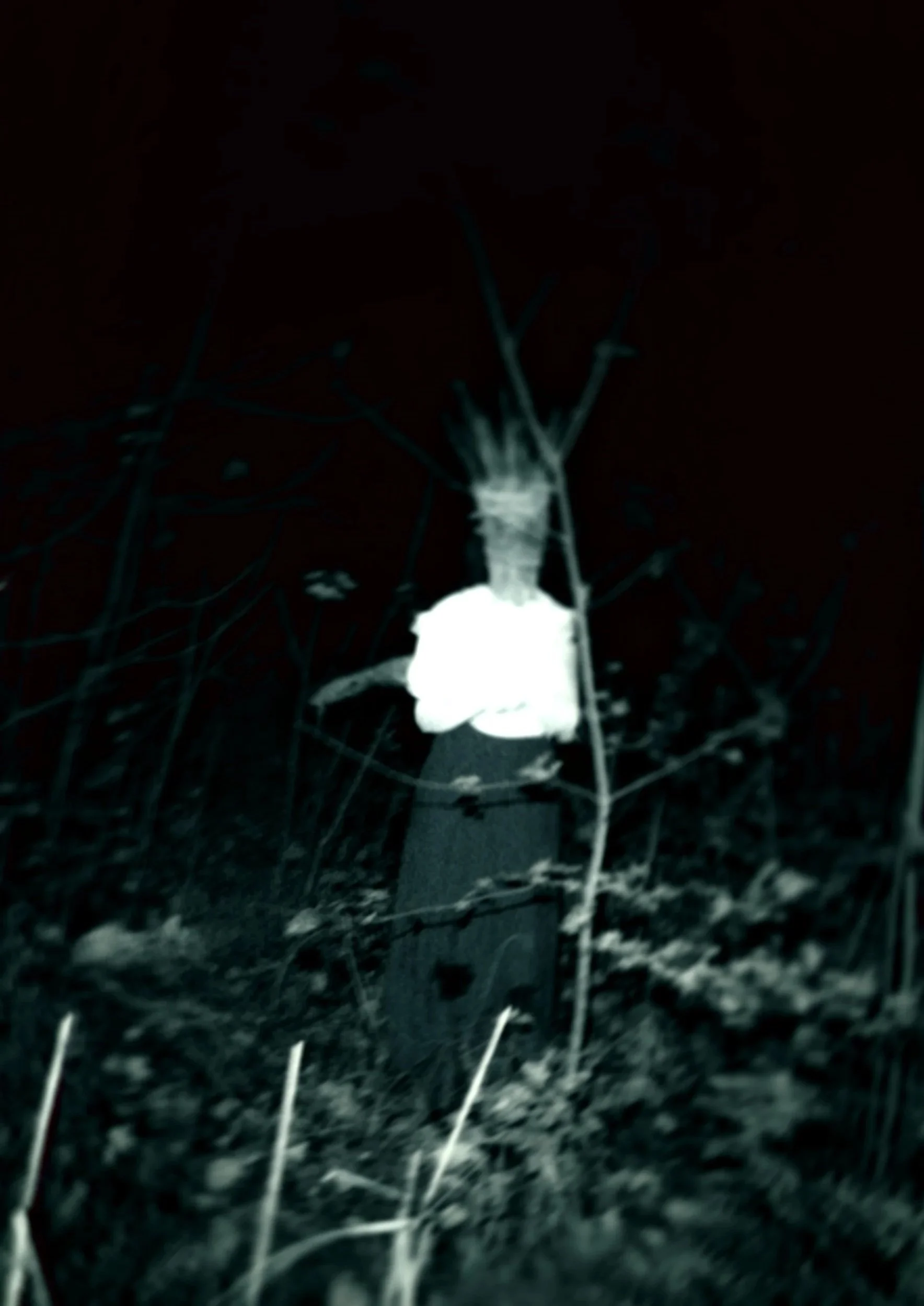 Creatures of the Lake #2