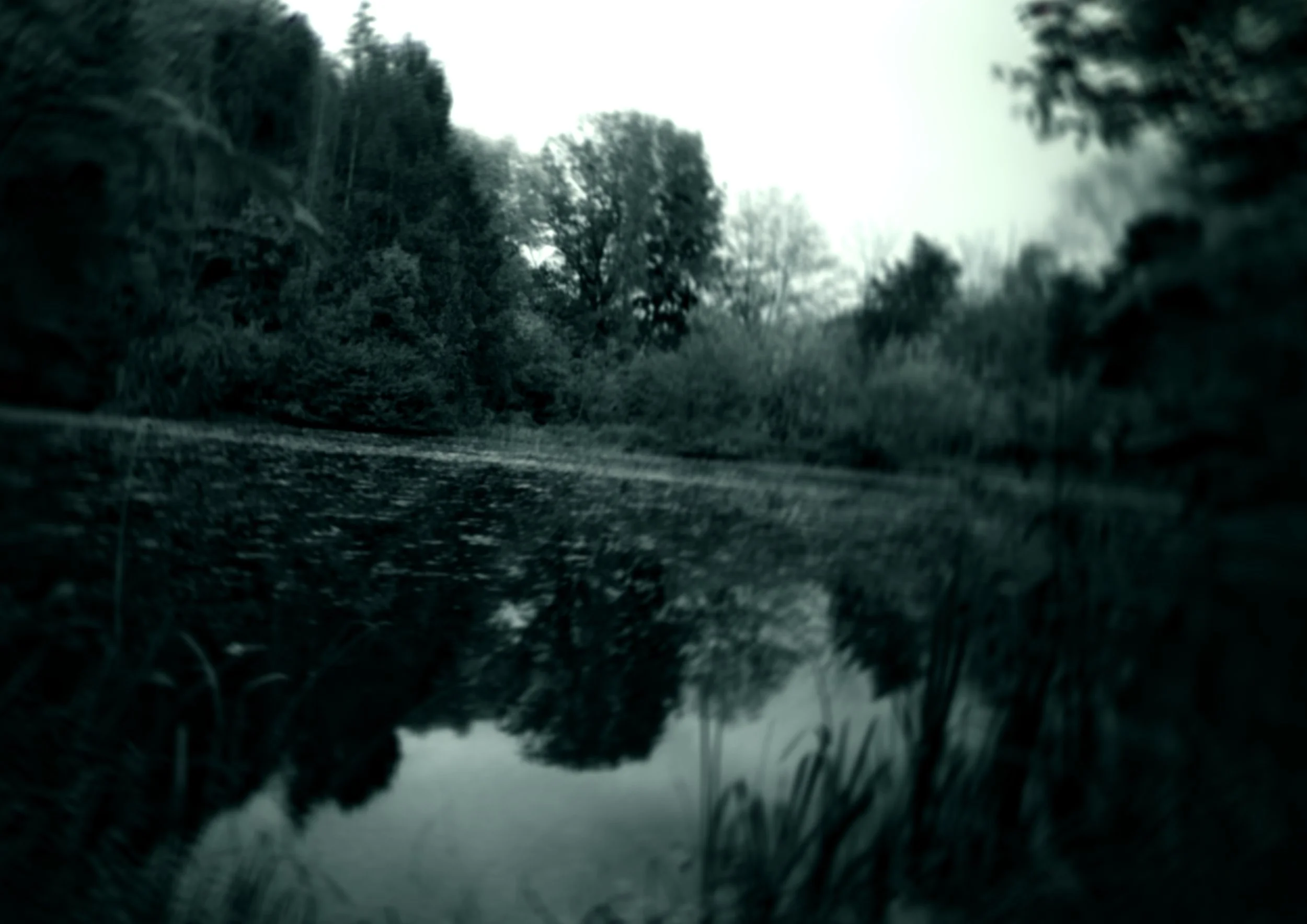 Creatures of the Lake #1
