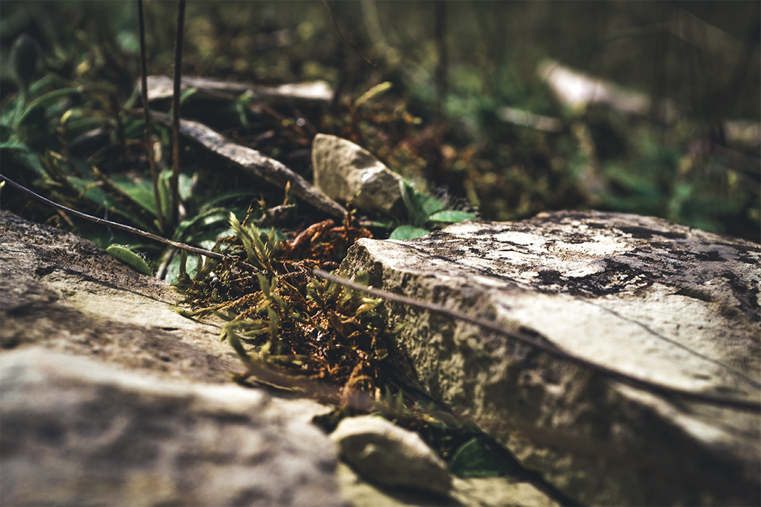 1080p_DSC_0041.png