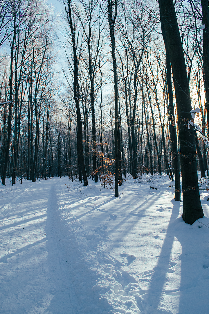 1080p_DSC0063.png