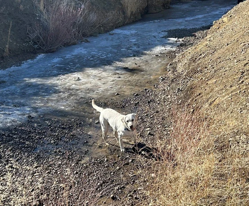 The returning runner…