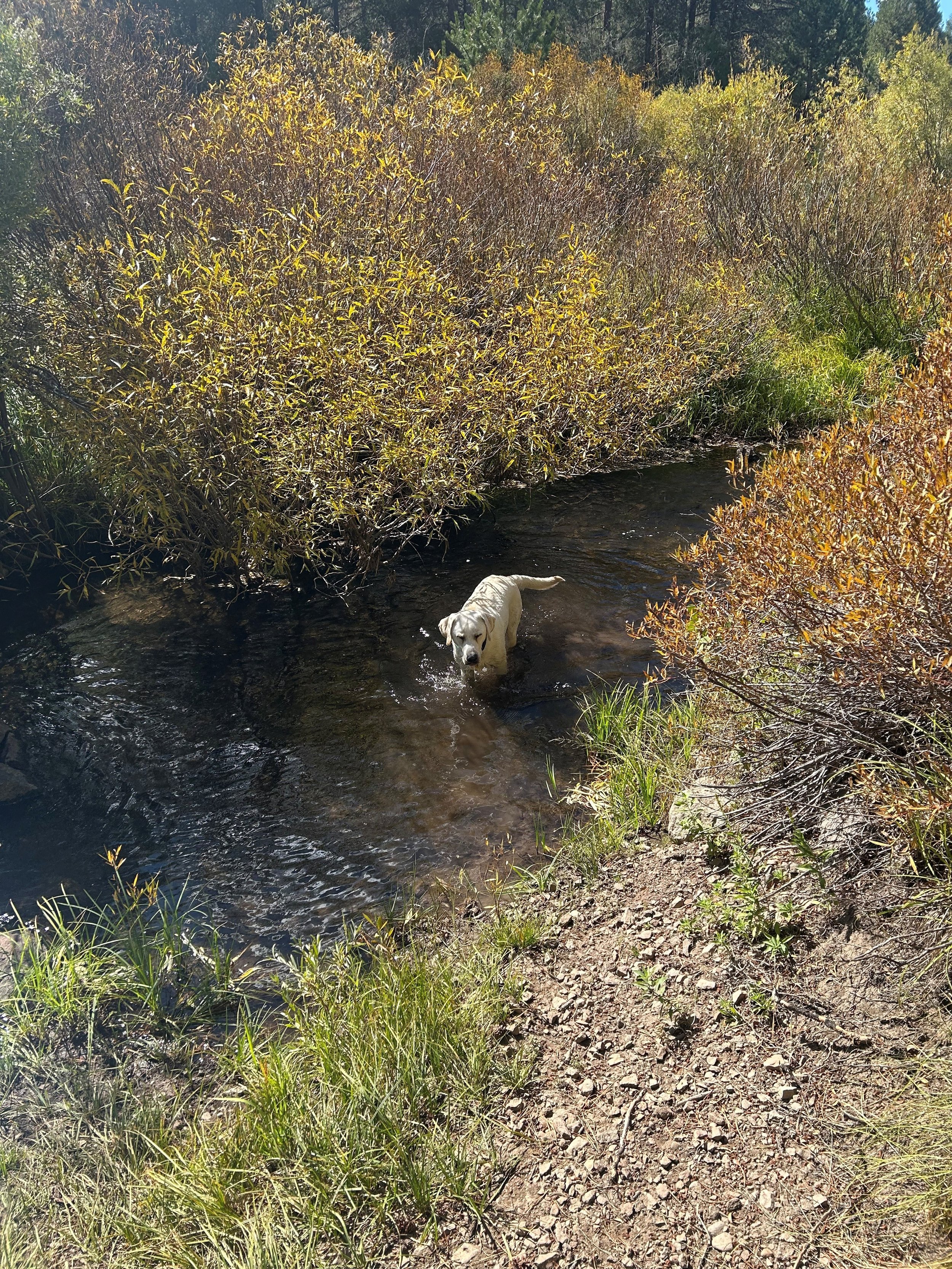 The returning runner…