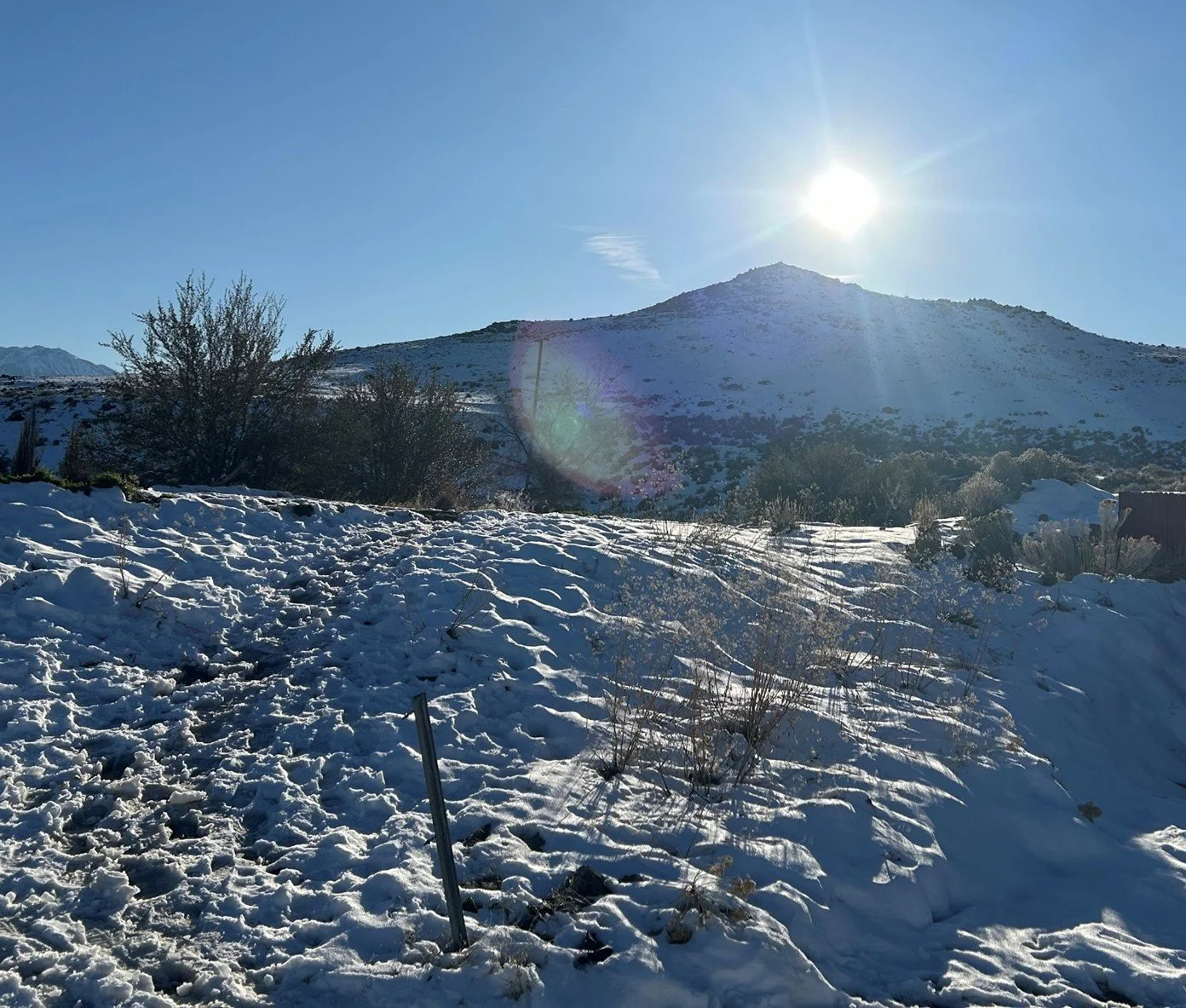 The returning runner…