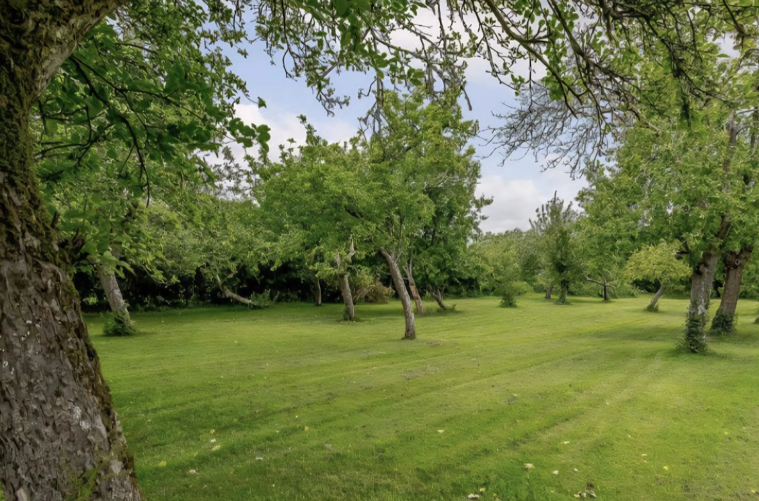 Screenshot_20250928_103212_Samsung Internet.jpg