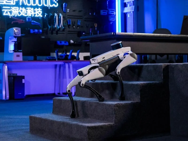 Rex Robots