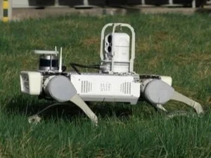 Rex Robots