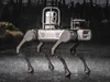 Rex Robots