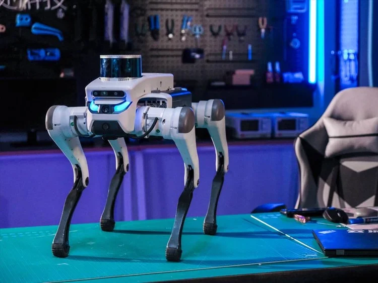 Rex Robots