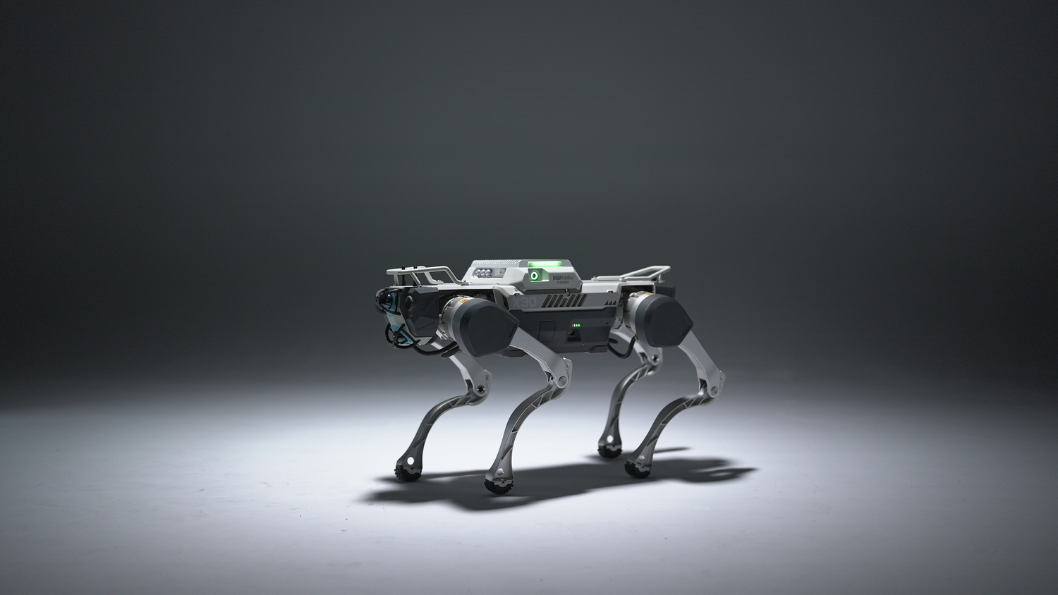 Rex Robots