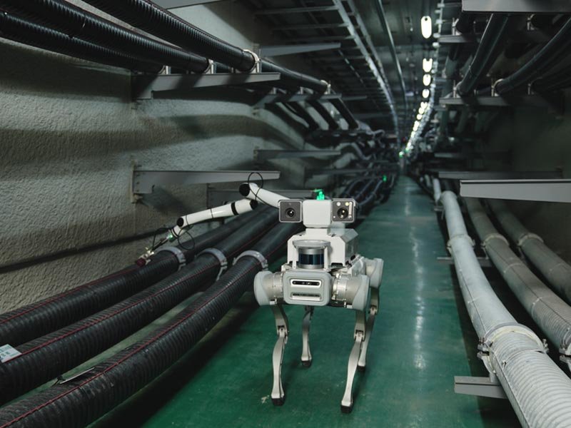 Rex Robots