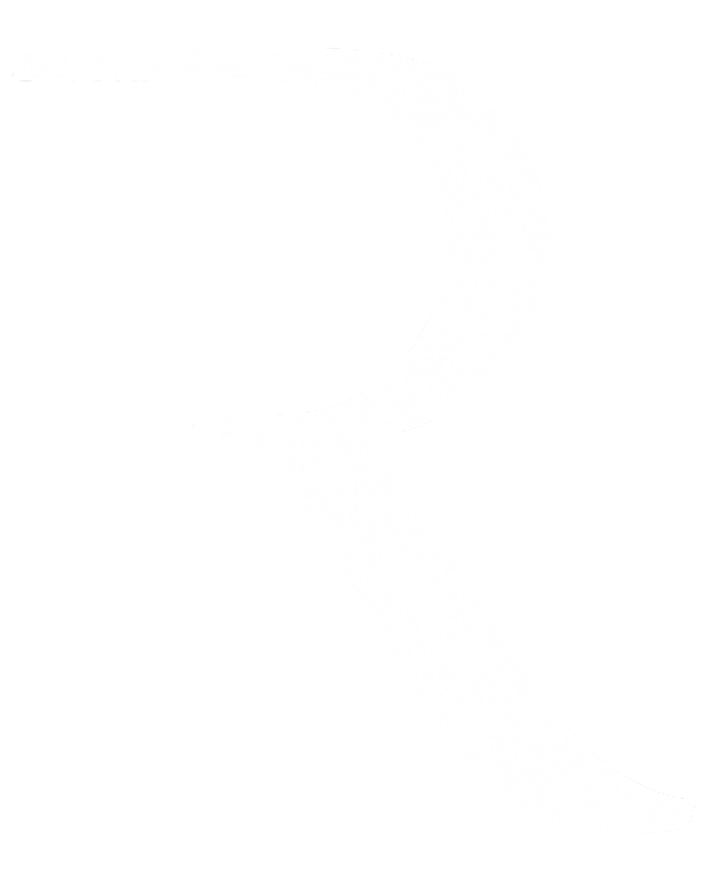 Rock Eleven Group