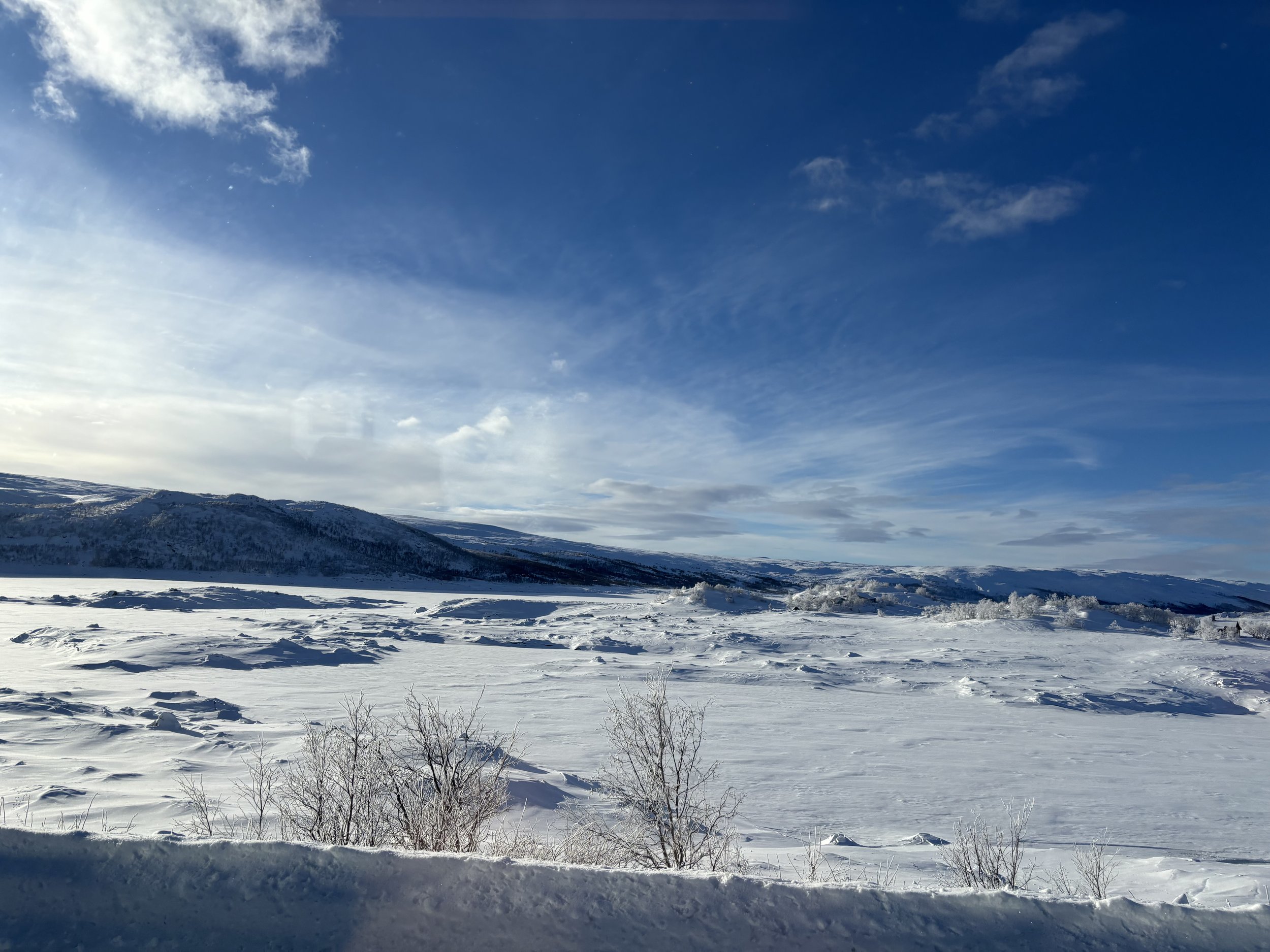 A Winter Morning