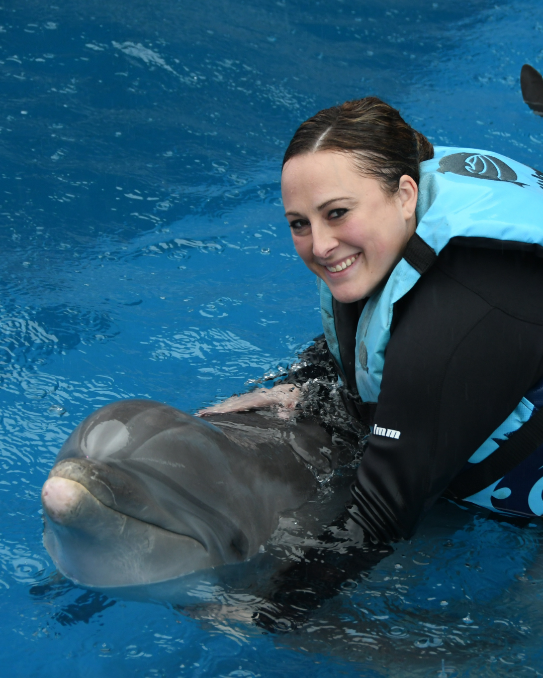Kendra Harris swimming with a dolphin during a family travel experience in Florida.
