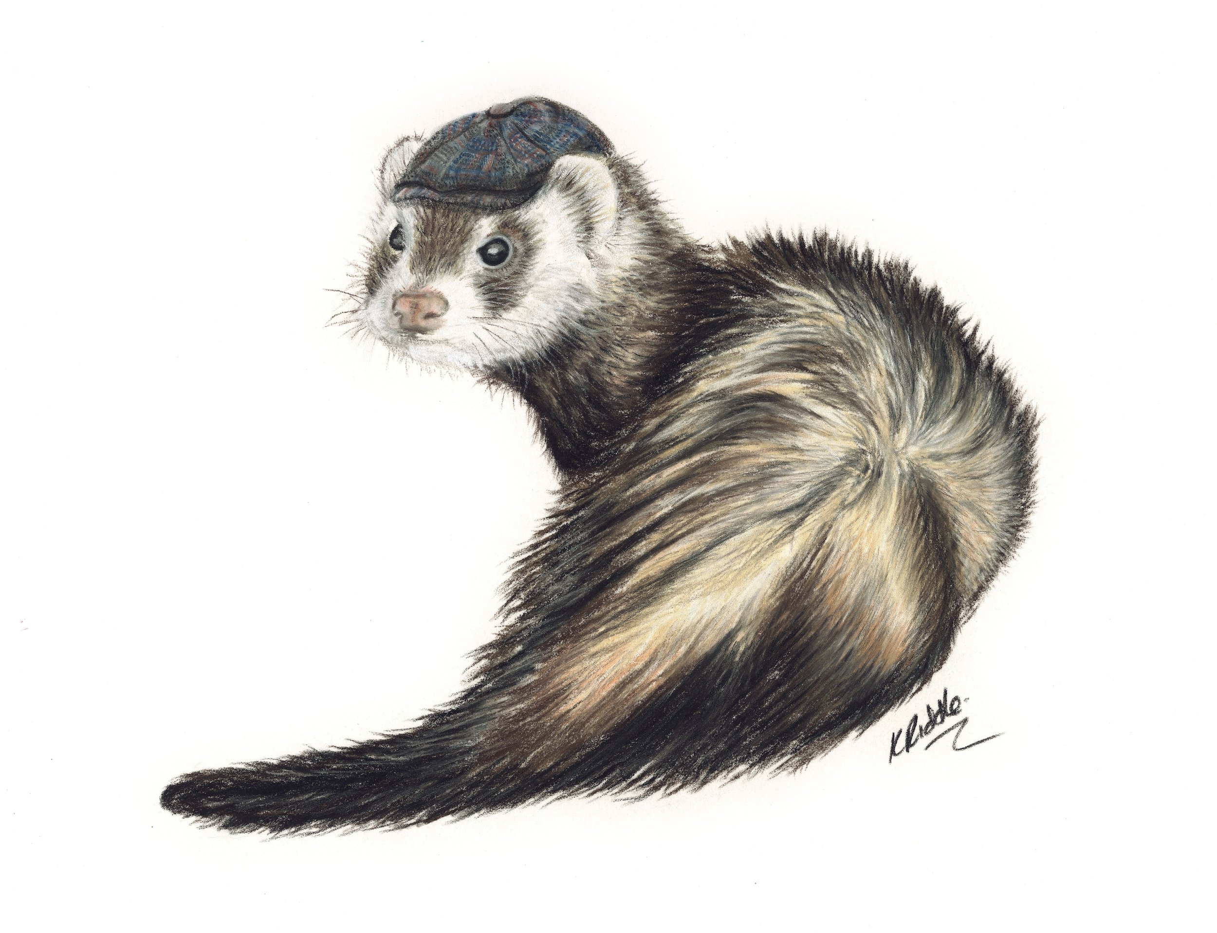 Otter Final .jpg