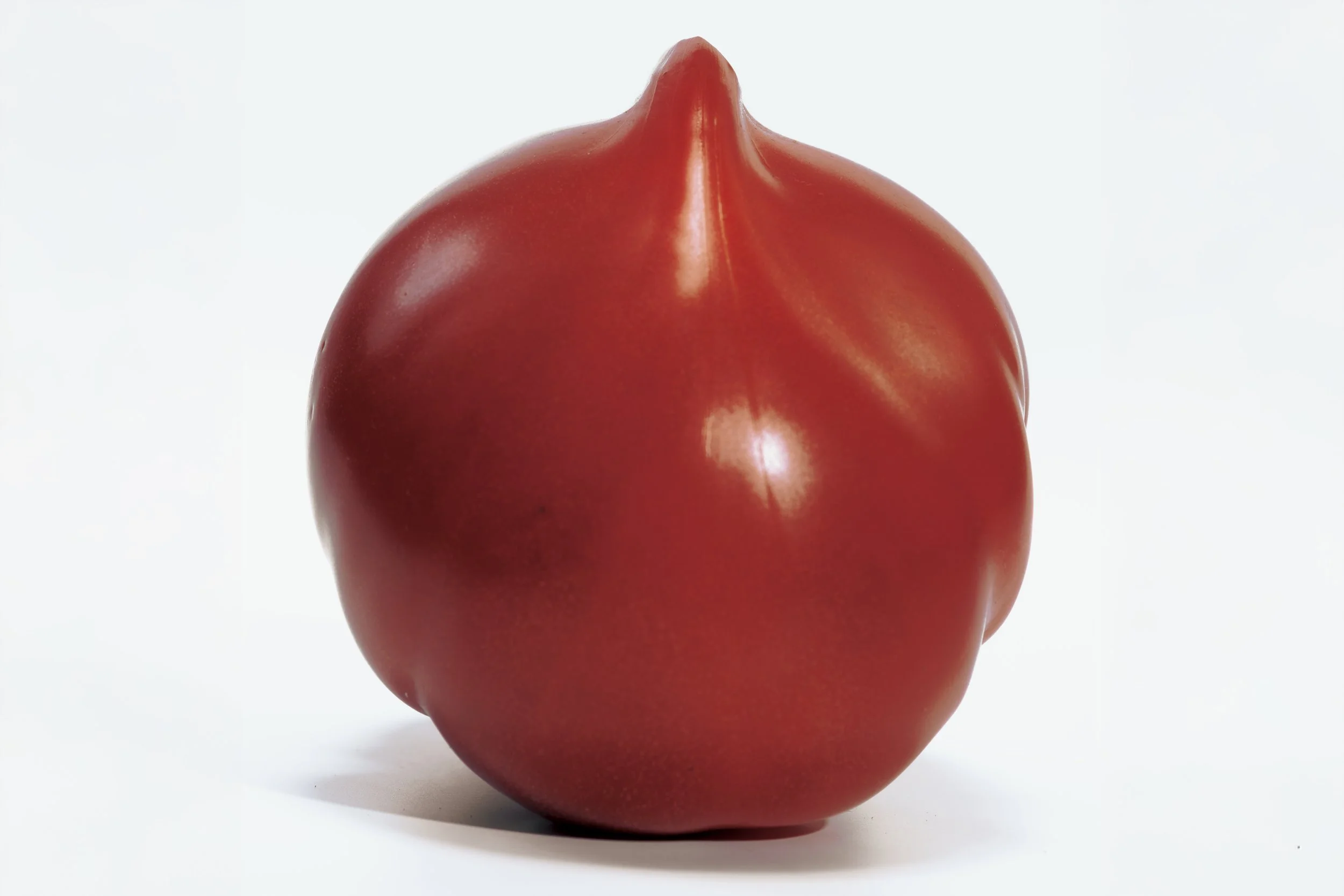 20240412_josephjoseph29017 拷貝.jpg