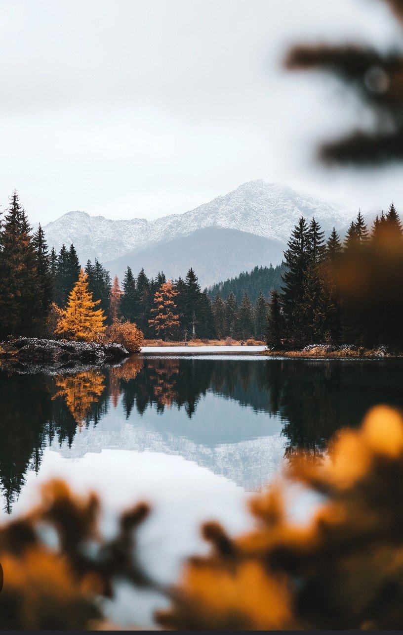 Forgiveness that frees: Releasing Bitterness (Standard Version)