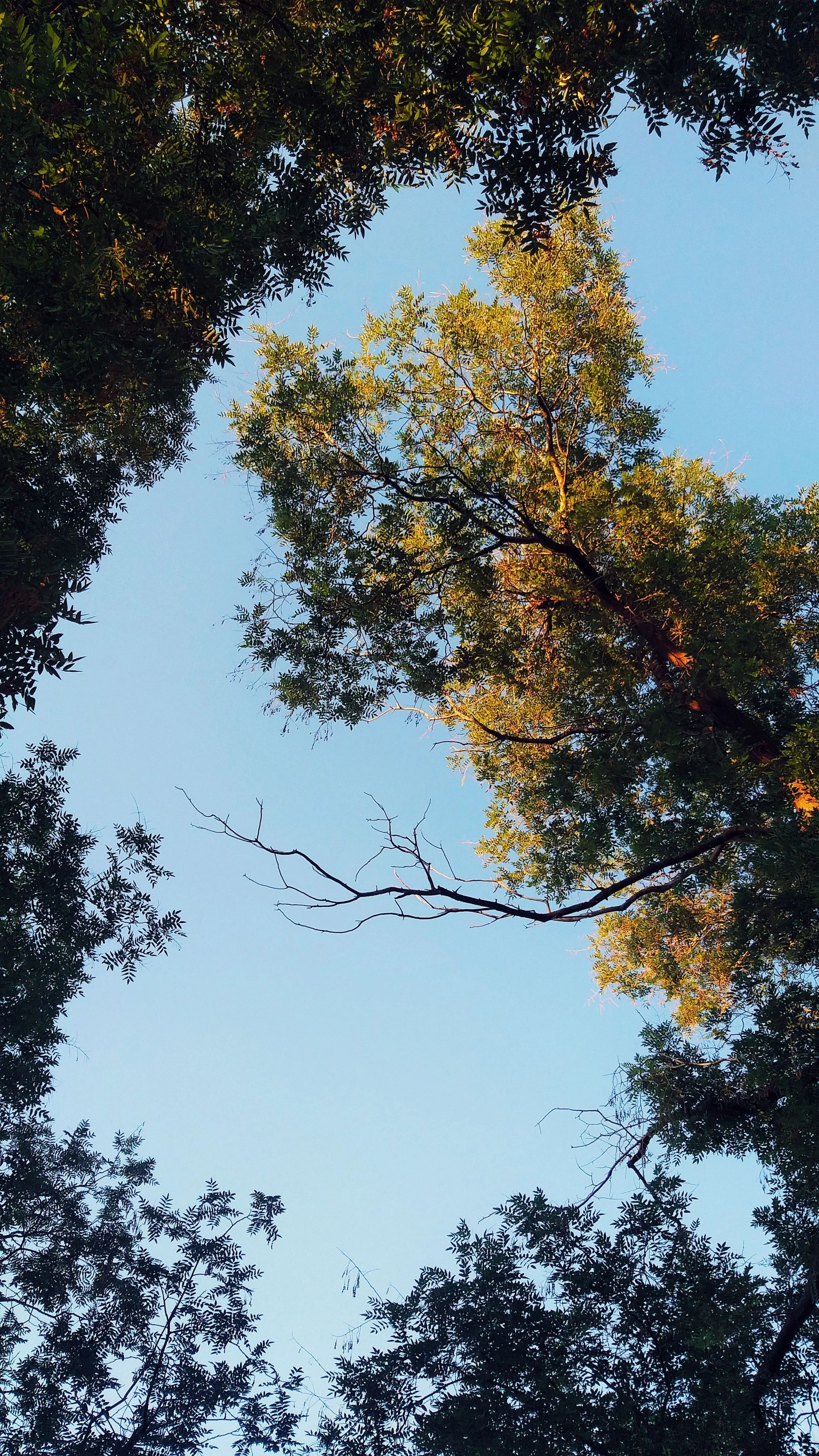 Setting Healthy Boundaries & Establishing Self-Worth