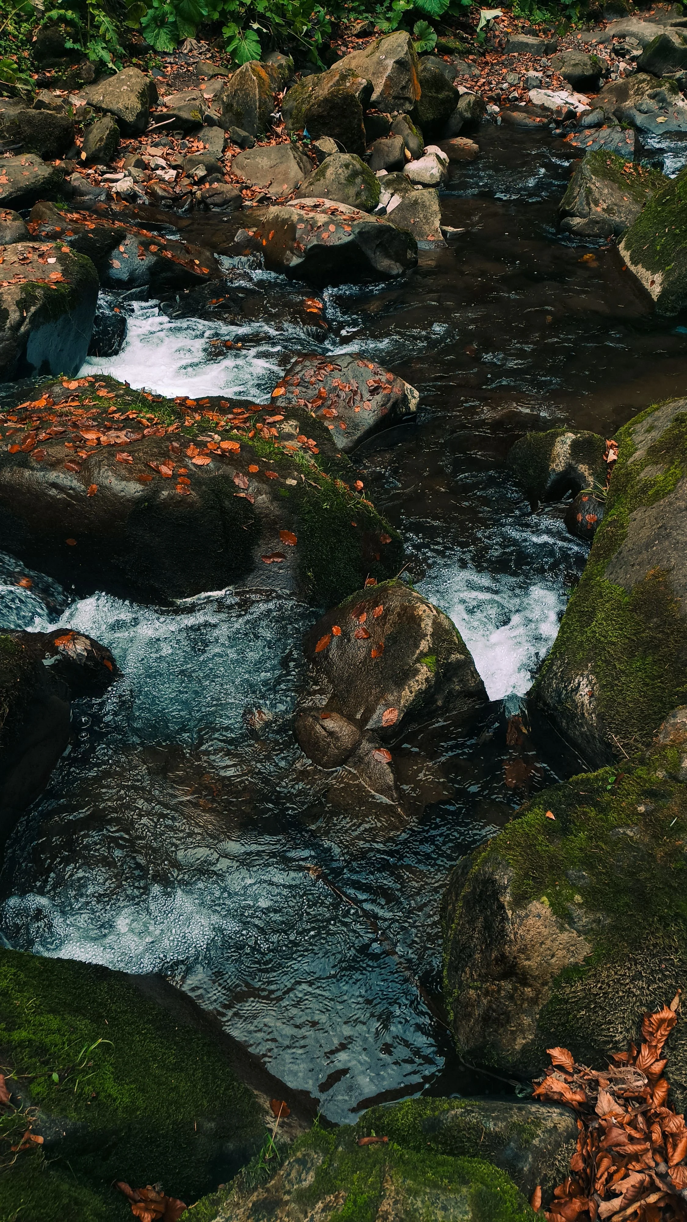 Strengthening Your Prayer Life & Spiritual Discipline