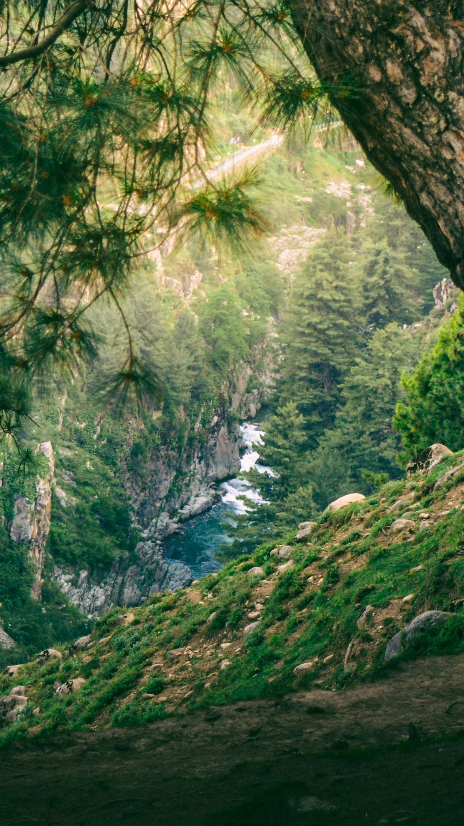 Finding Work/Life Balance and Dealing with Procrastination