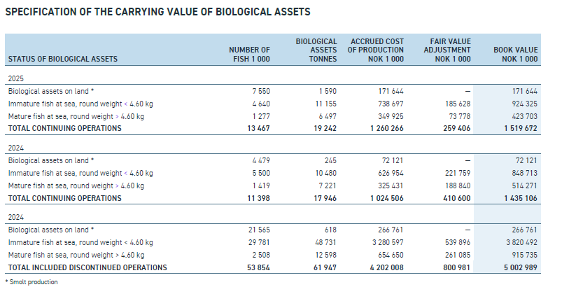 Buried in the Notes: Where Salmon Farming Earnings Are Really Decided