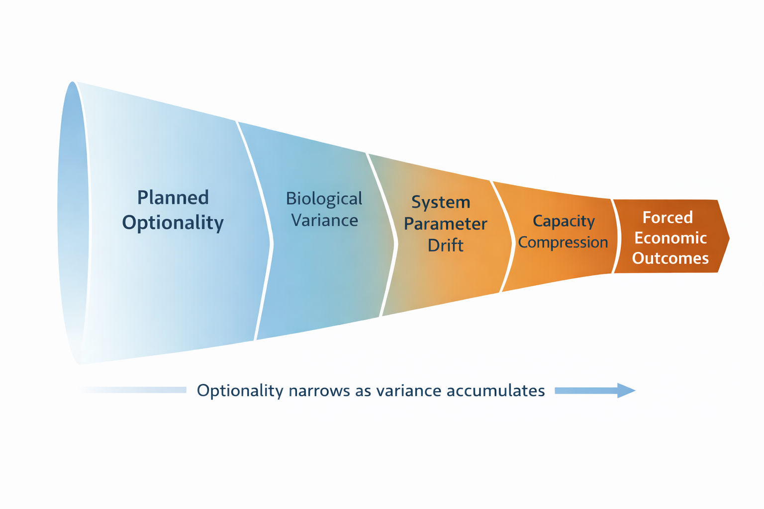 When Optionality Disappears: 