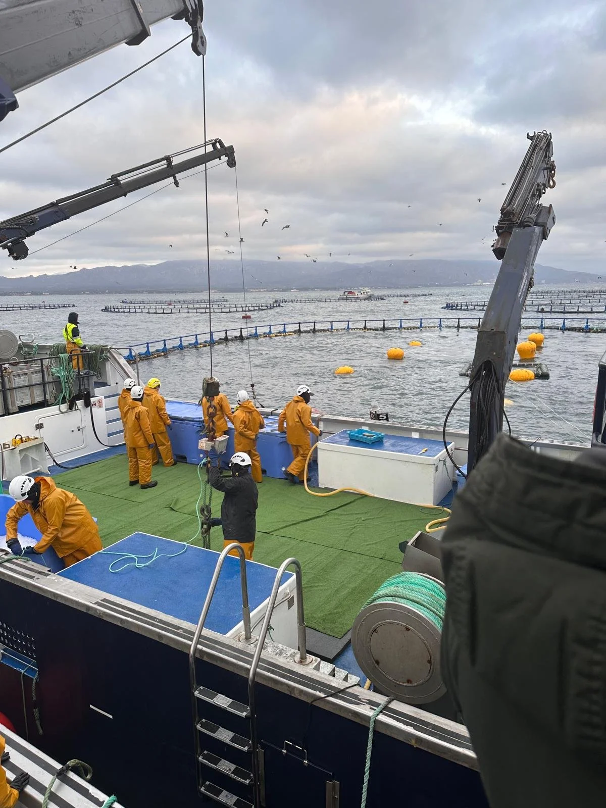 Designing Aquaculture for Places Where Help Is Far Away
