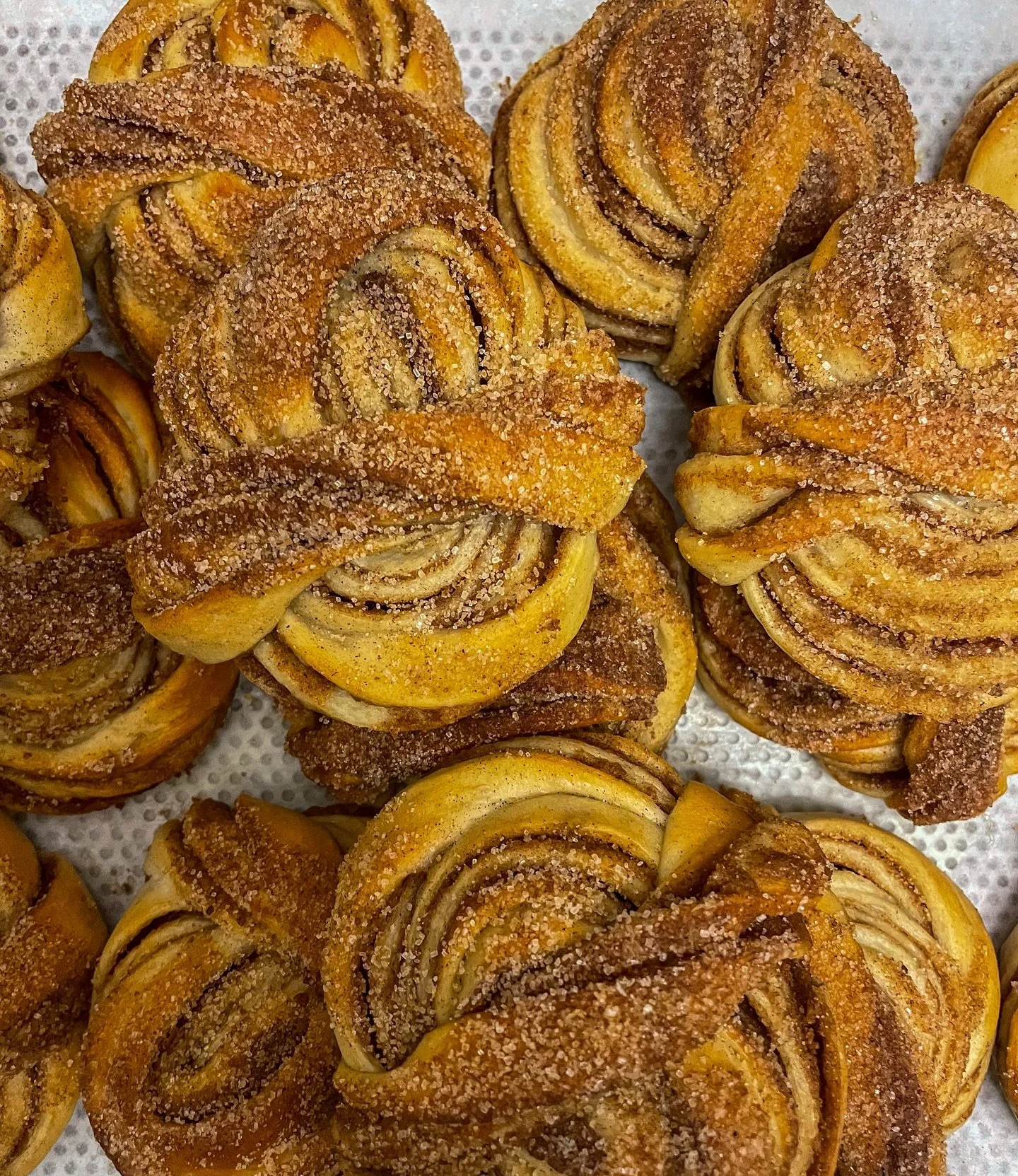 Unsere Signatur Pastry; der Zimtknoten!

#vegan #veganzimtschnecke #zimtschnecken #cinnamoroll #cinnamonbuns #kardamom #zimtkardamom #artisan #bakery #pastry #veganpastry #organic #bio #organicfood #food #handwerk #schwabing #munich #municheats #muni