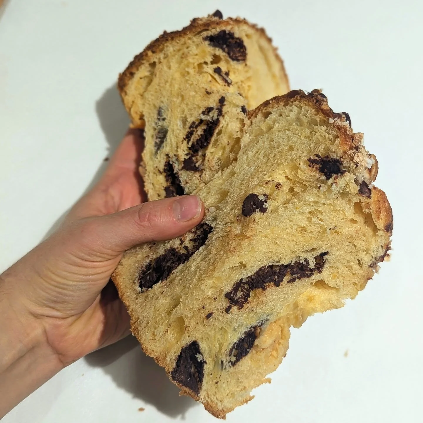 Schokottone 

100% Brotraum Lievito Madre 
Bayerisches Mehl
Felchlin Dominica Blanc
Felchlin Choba Choba Elmer 
Orangenpaste 
Ger&ouml;stete Haseln&uuml;sse 

So lange der Vorrat reicht - vorbestellen unter brotraum.bio